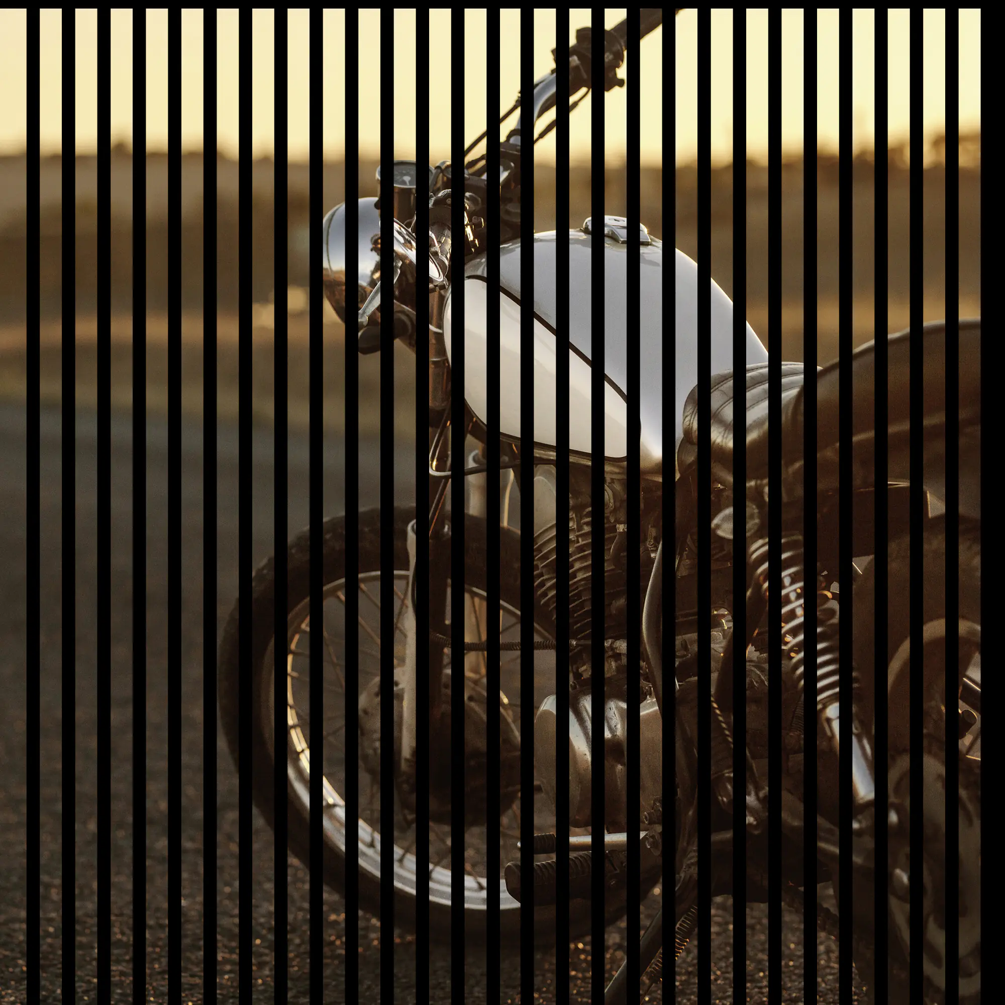 Neuhofer Akustikpaneele Motorrad 119,5 x 113,3 x 1,9 cm