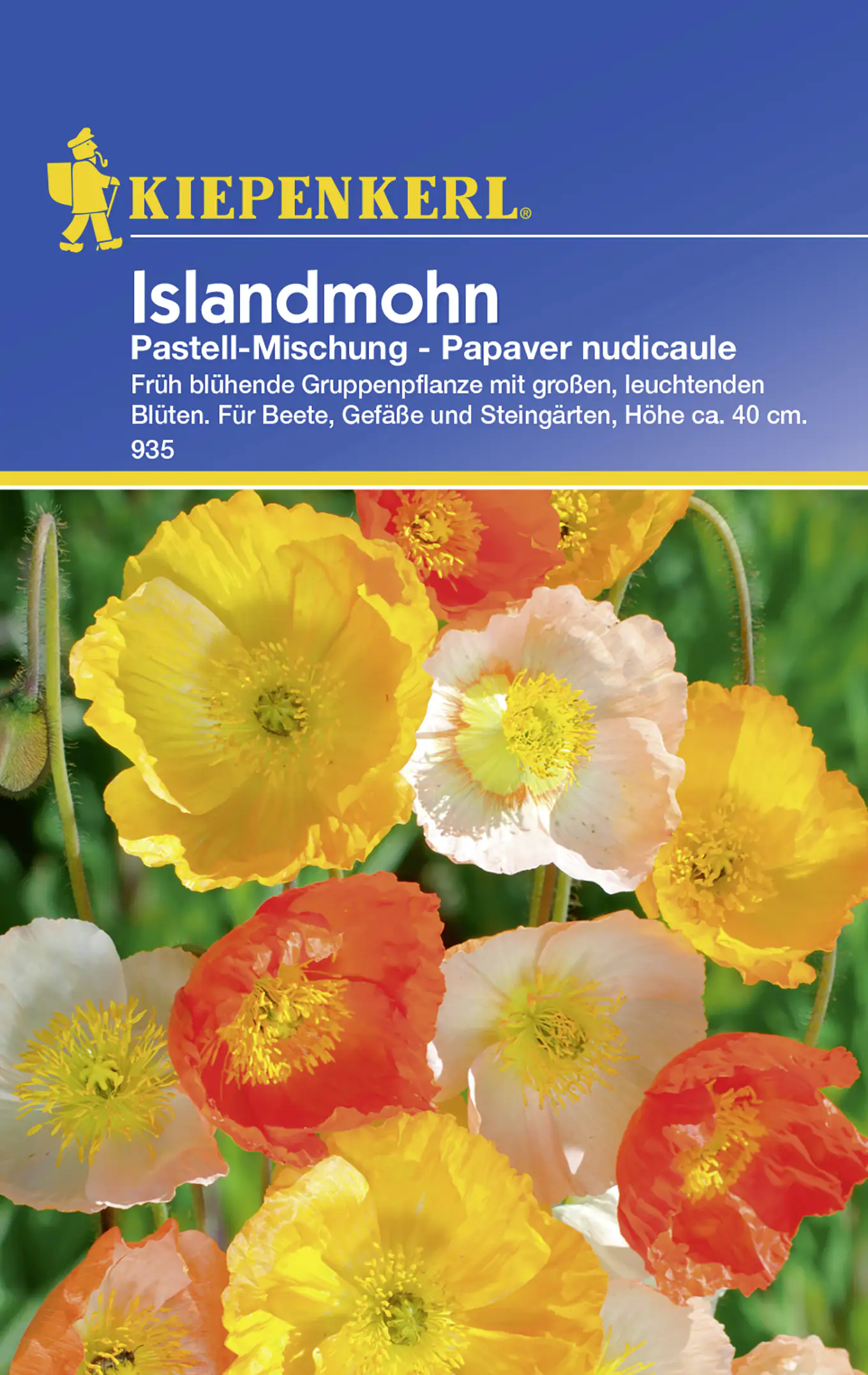 Kiepenkerl Islandmohn Pastell-Mischung Papaver nudicaule, Inhalt: ca. 30 Pflanzen