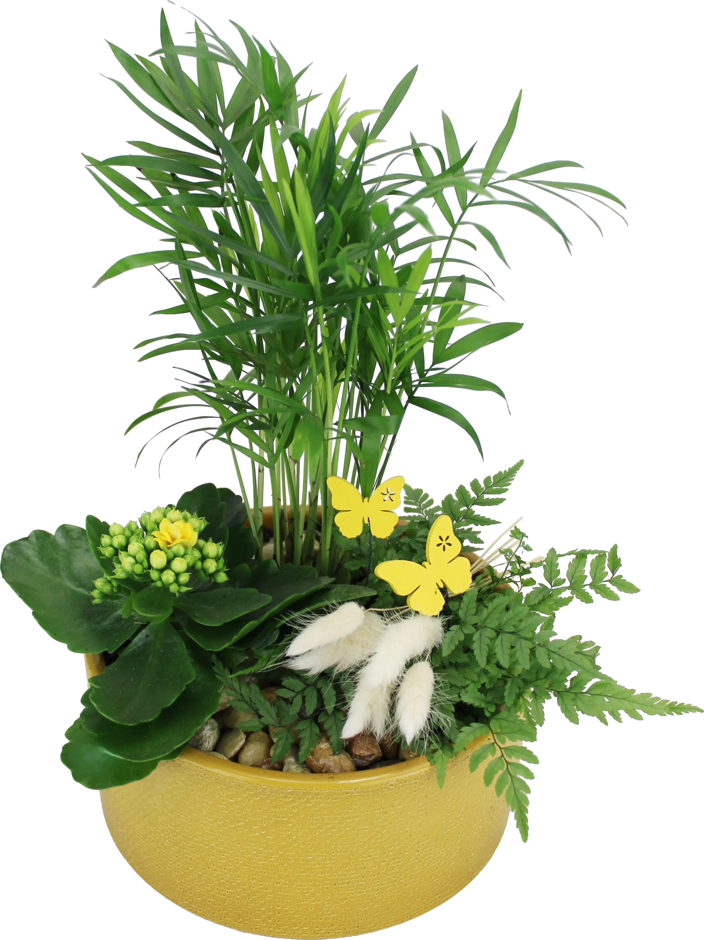 Osterarrangement Frühlingsschale Grünpflanzen & Calandiva in Keramik