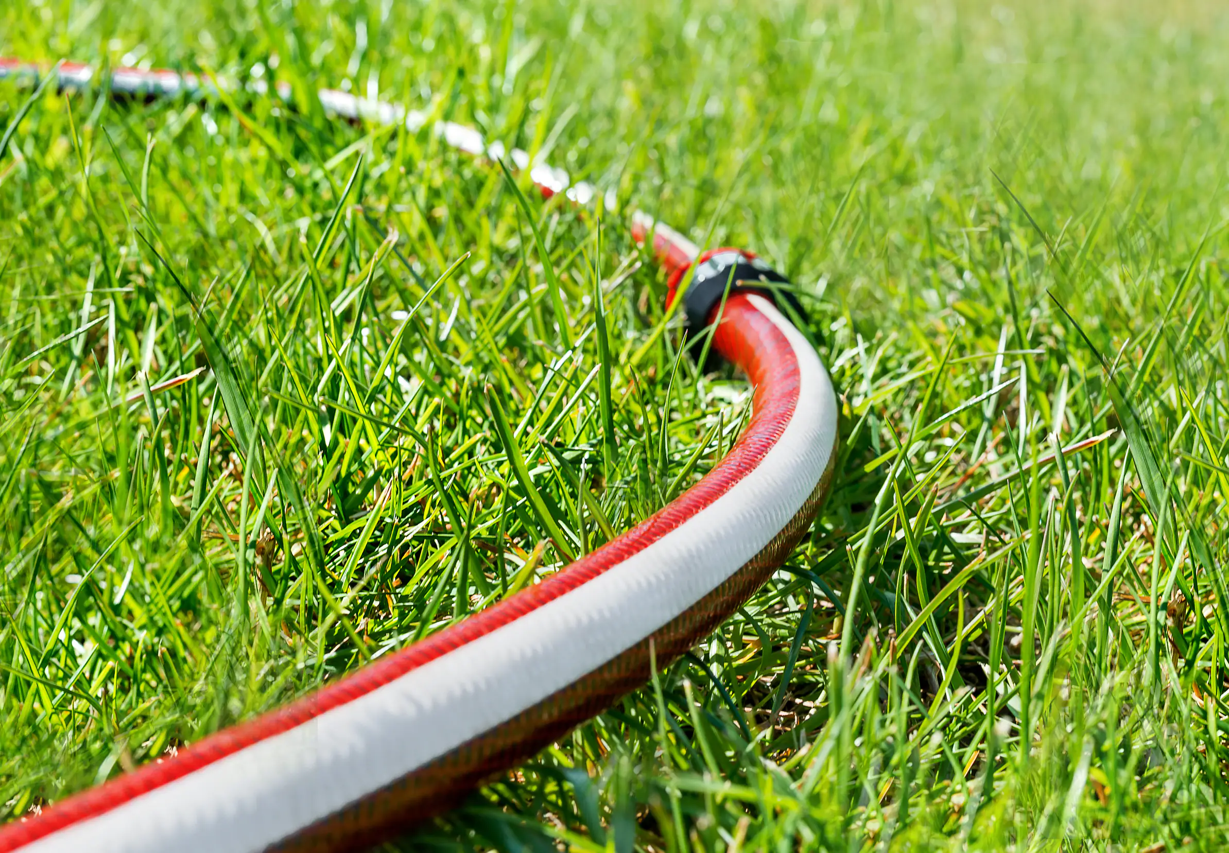 5907553509392_02 TrendLine Gartenschlauch 10 m Ø 12,7 mm (1/2")