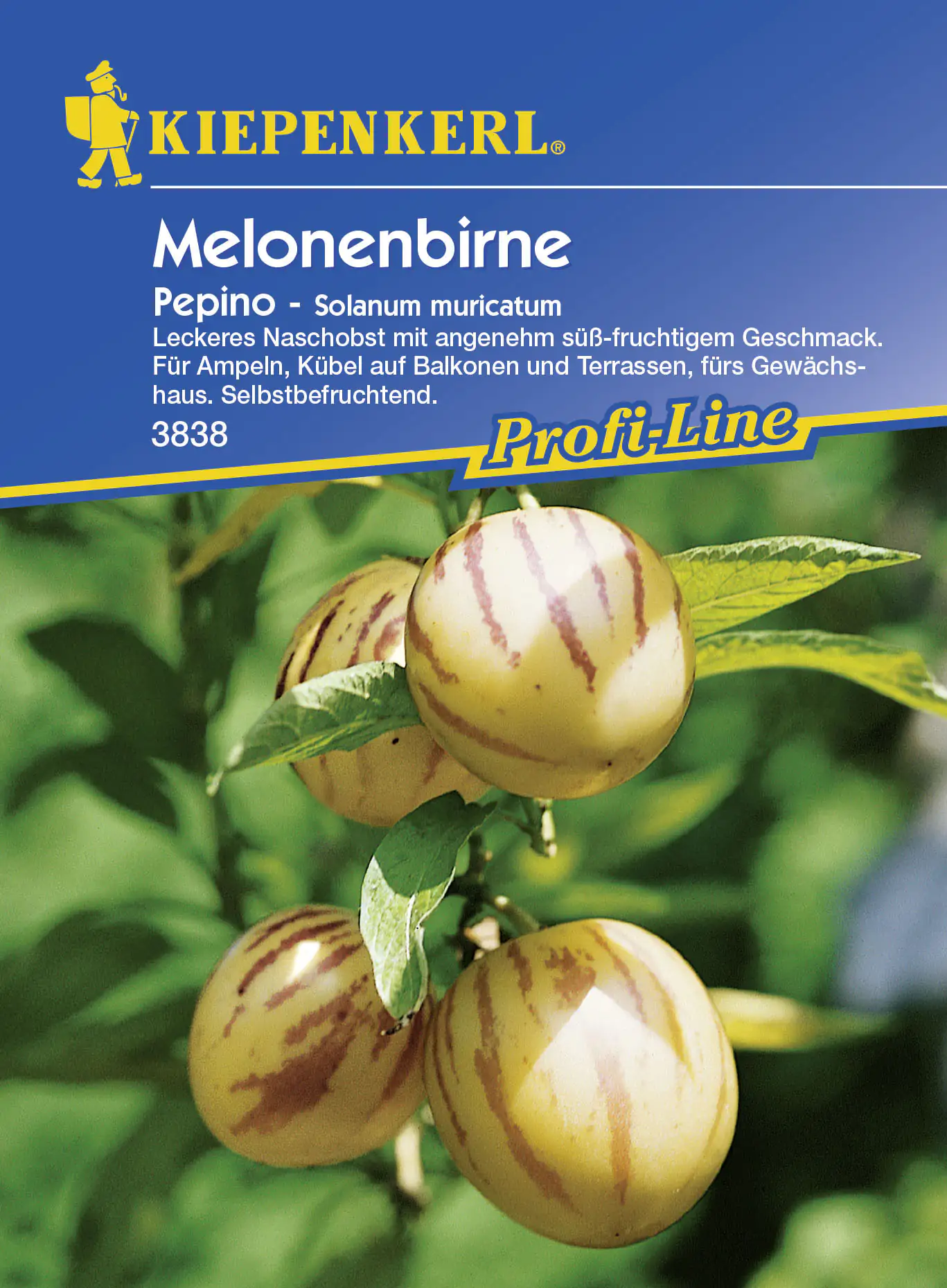 Kiepenkerl Melonenbirne Pepino Salvia splendens, Inhalt: 10 Korn Kiepenkerl Melonenbirne Pepino Salvia splendens, Inhalt: 10 Korn