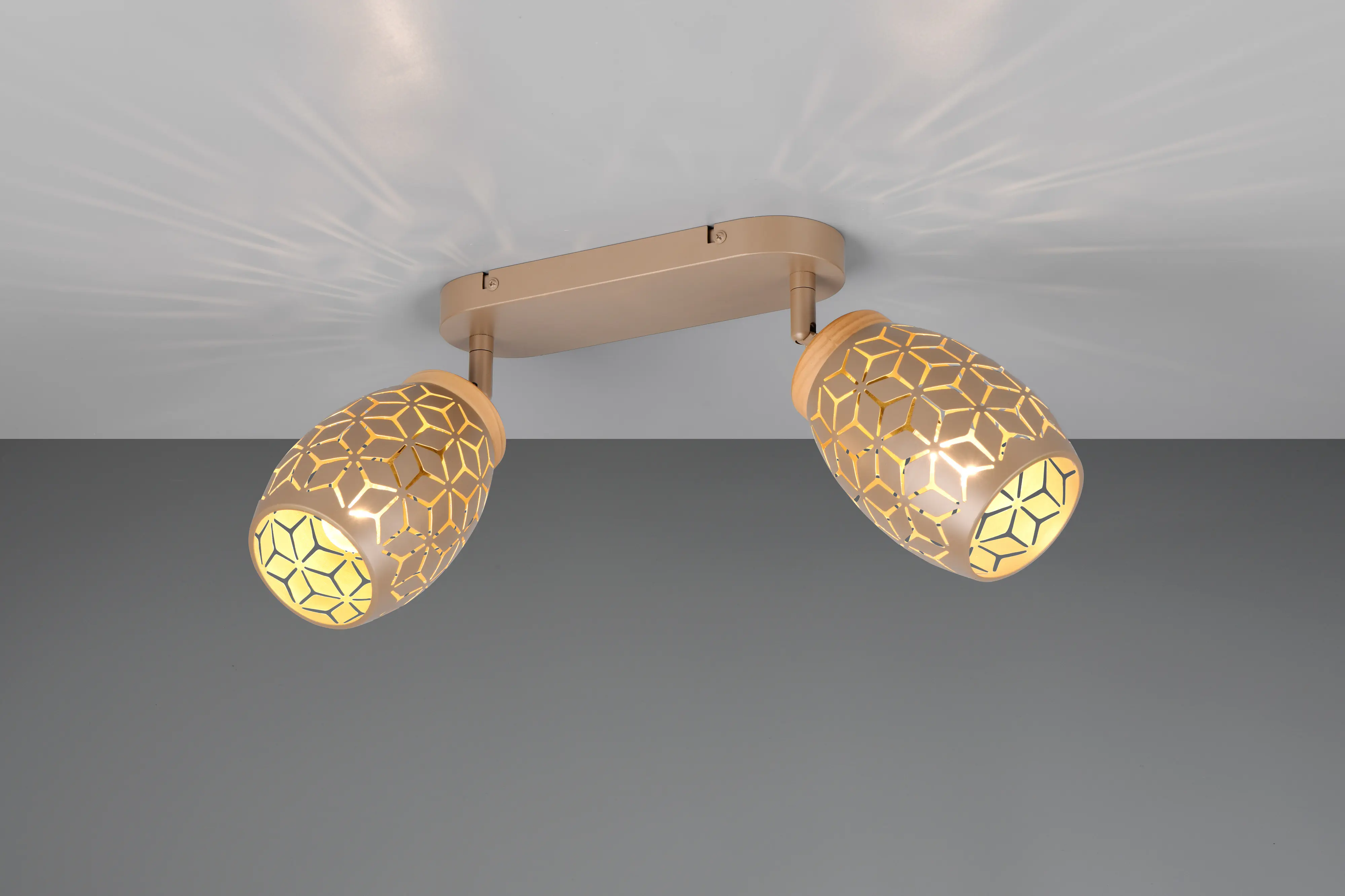 Trio LED-Deckenlampe 2er Spot Bidar 28 cm coffee