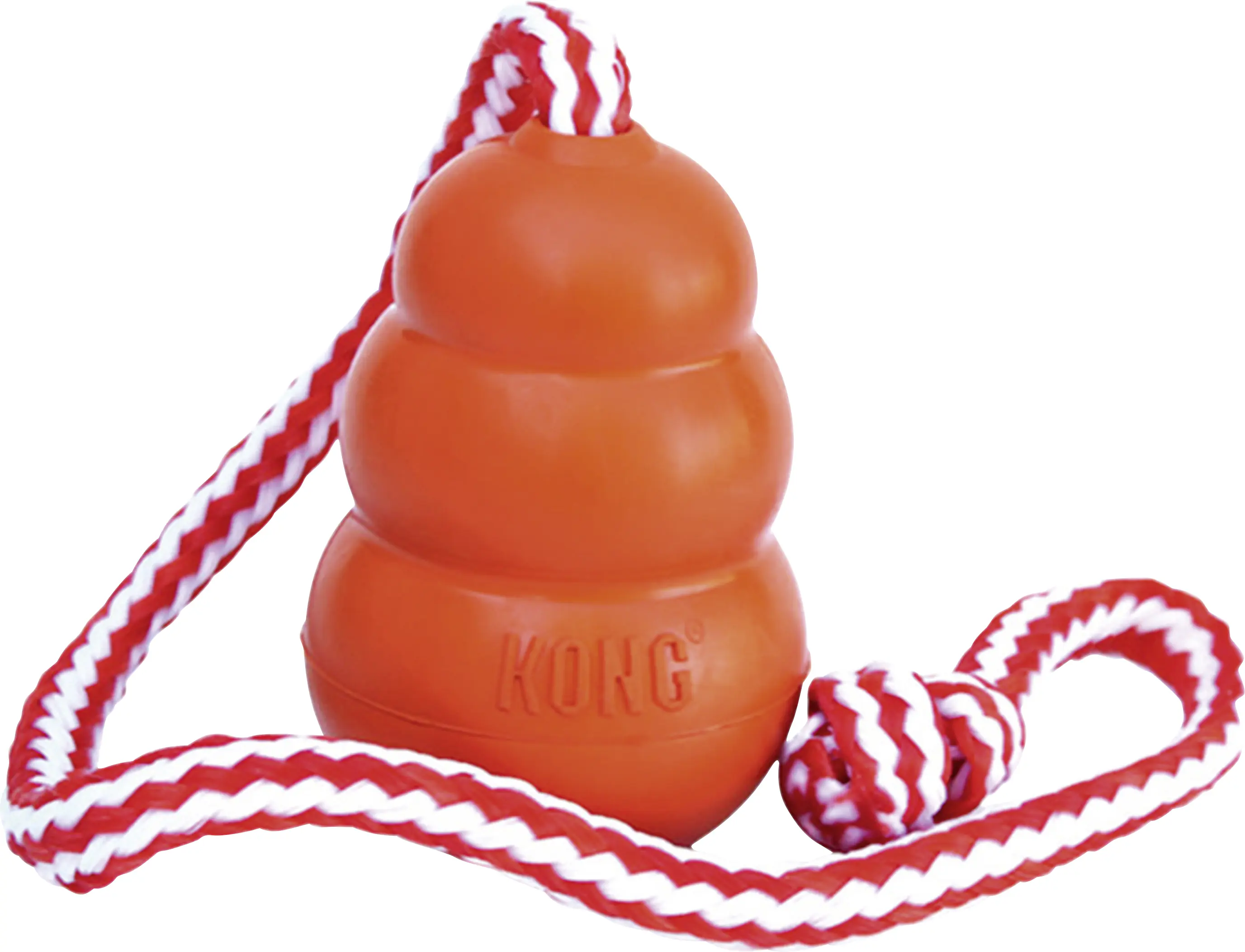 Kong Wasserspielzeug Hund Aqua mit Wurftau 60 cm orange