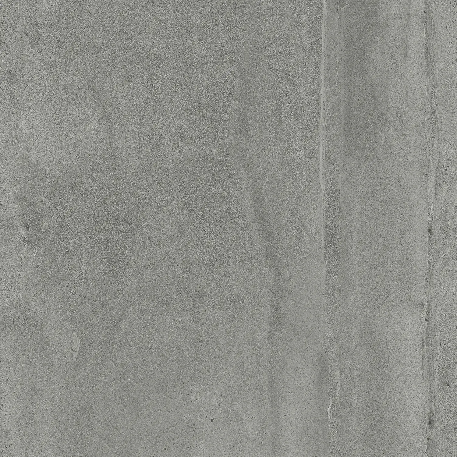 Bodenfliese Feinsteinzeug Harlem 60 x 60 cm grau