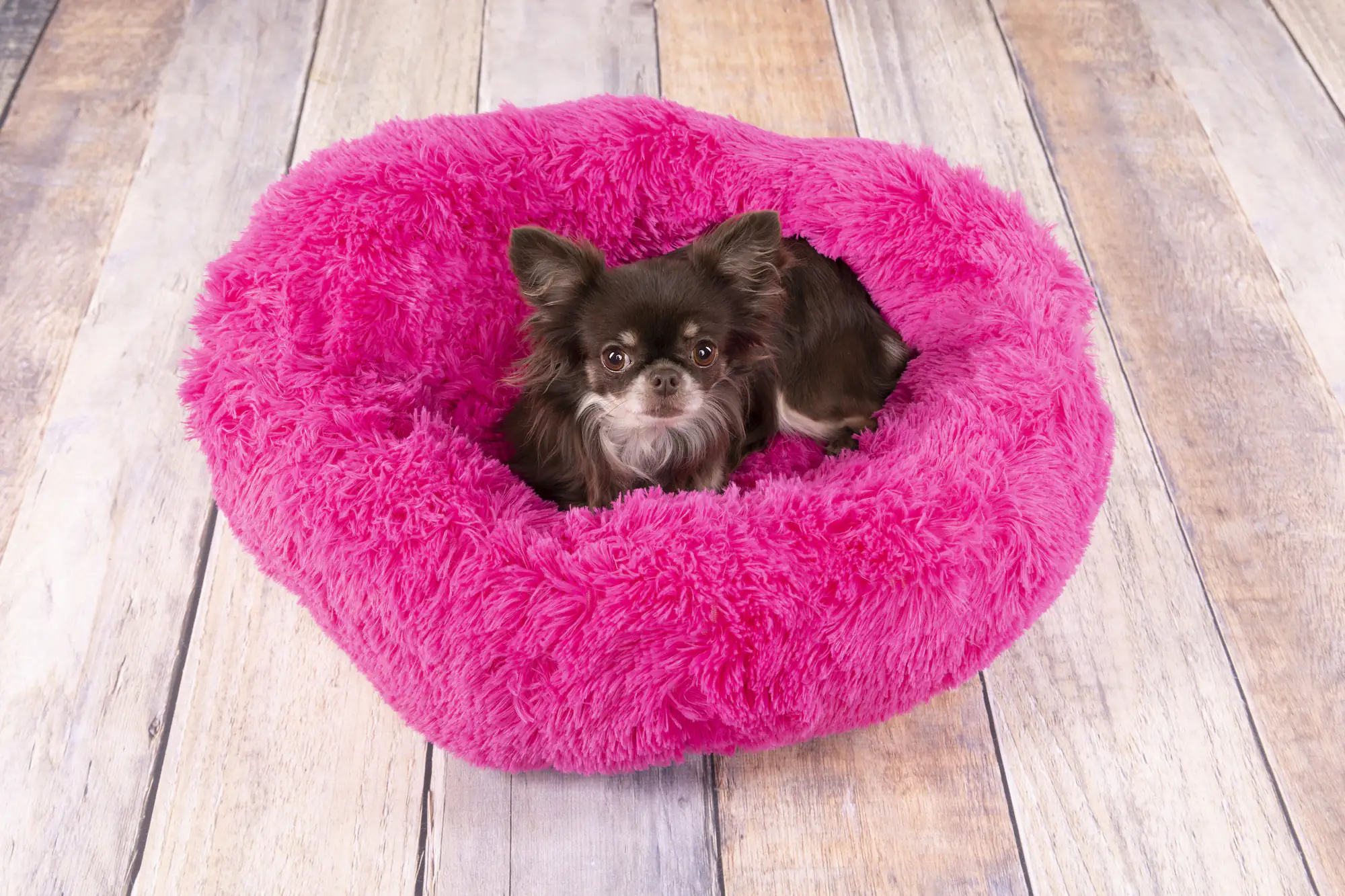 Flamingo Korb Krems rund rosa 50 x 50 x 18 cm