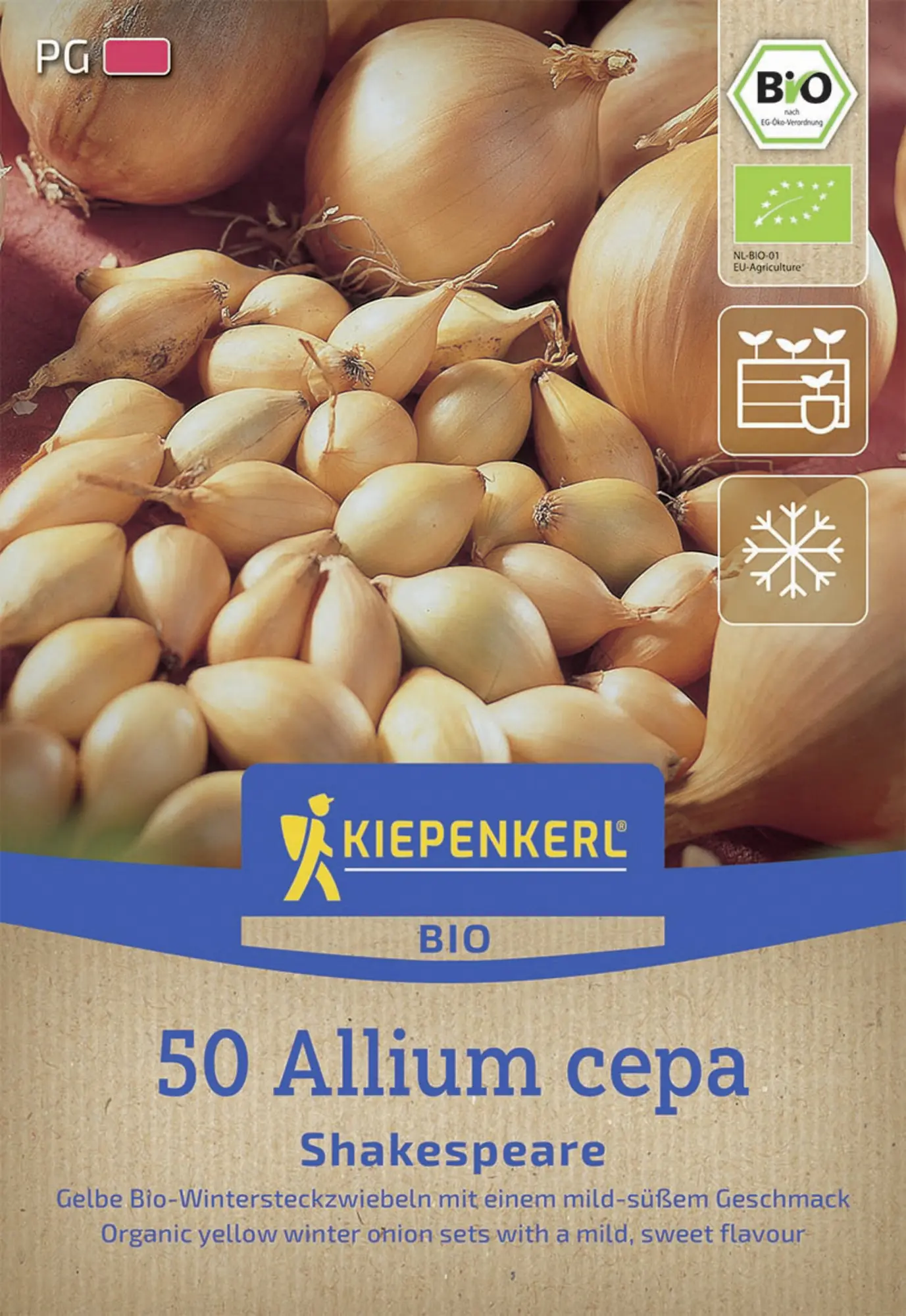 Kiepenkerl Pflanzgut Bio Wintersteckzwiebel Shakespeare 50 Stück