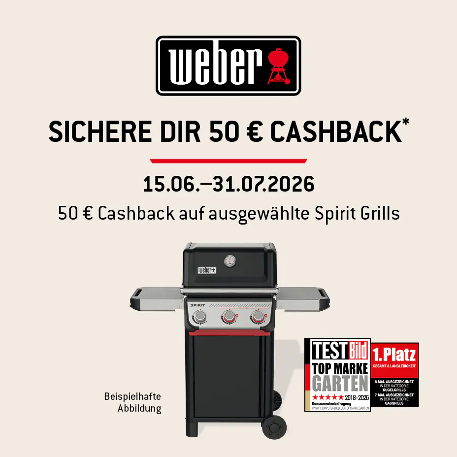 Weber Gasgrill Spirit EP-435 GBS schwarz Grillfläche: 62,5 x 44 cm