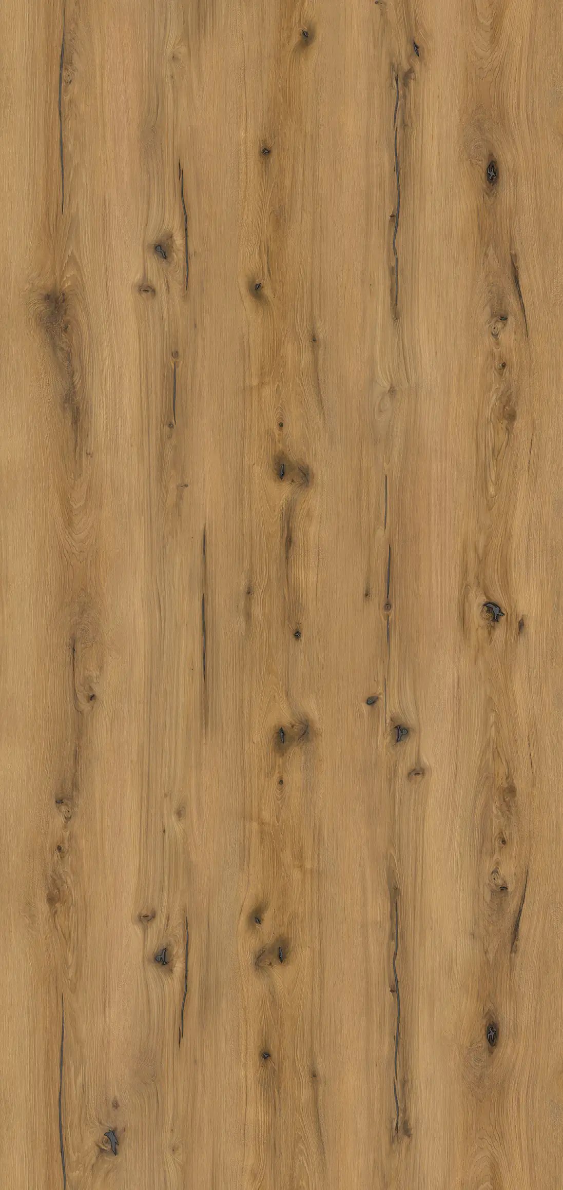 Classen Wandverkleidung Vario Rustic Oak 255 x 120 cm 3 mm