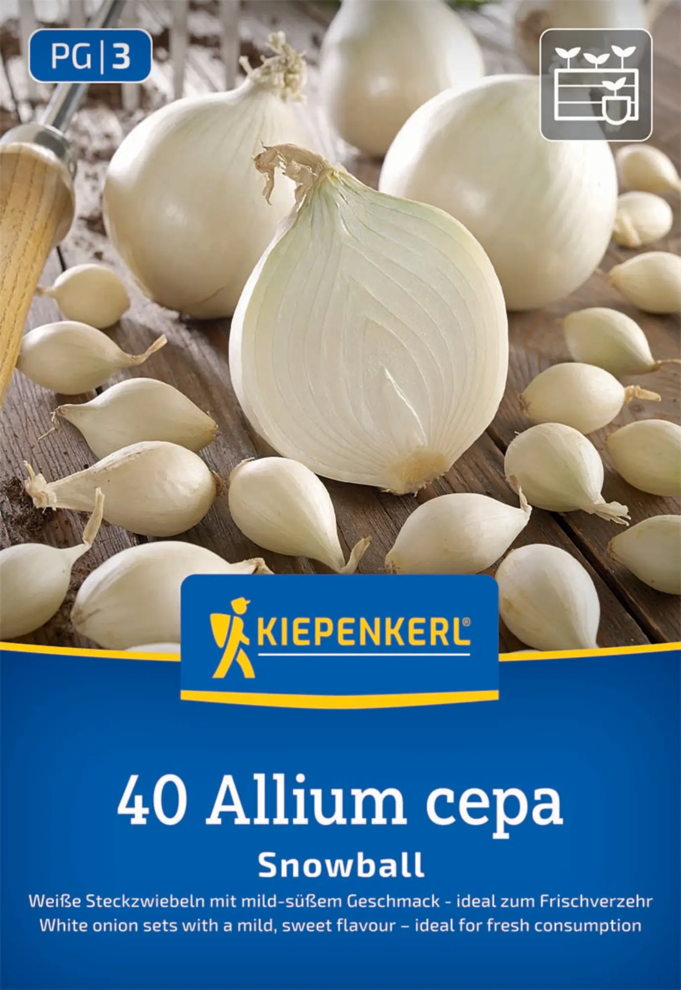 Kiepenkerl Profi-Line Steckzwiebel Snowball Gr. 12/24, 50 Stück