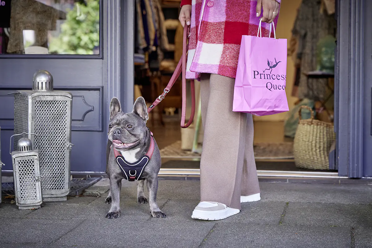 Wolters Hundeleine Professional Comfort rost rot 