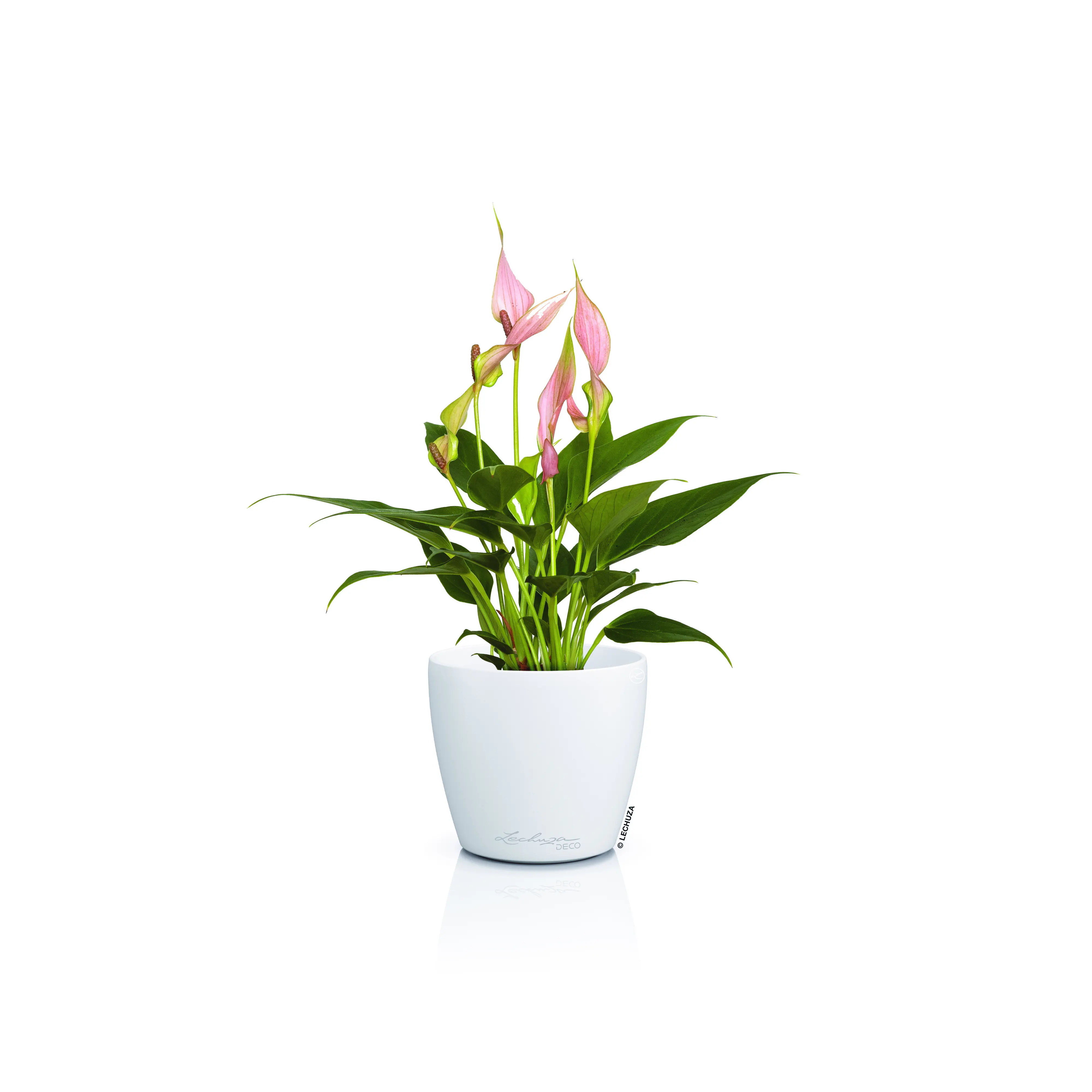 Lechuza Pflanztopf Deco 12 Ø 13,2 x 11,8 cm weiß