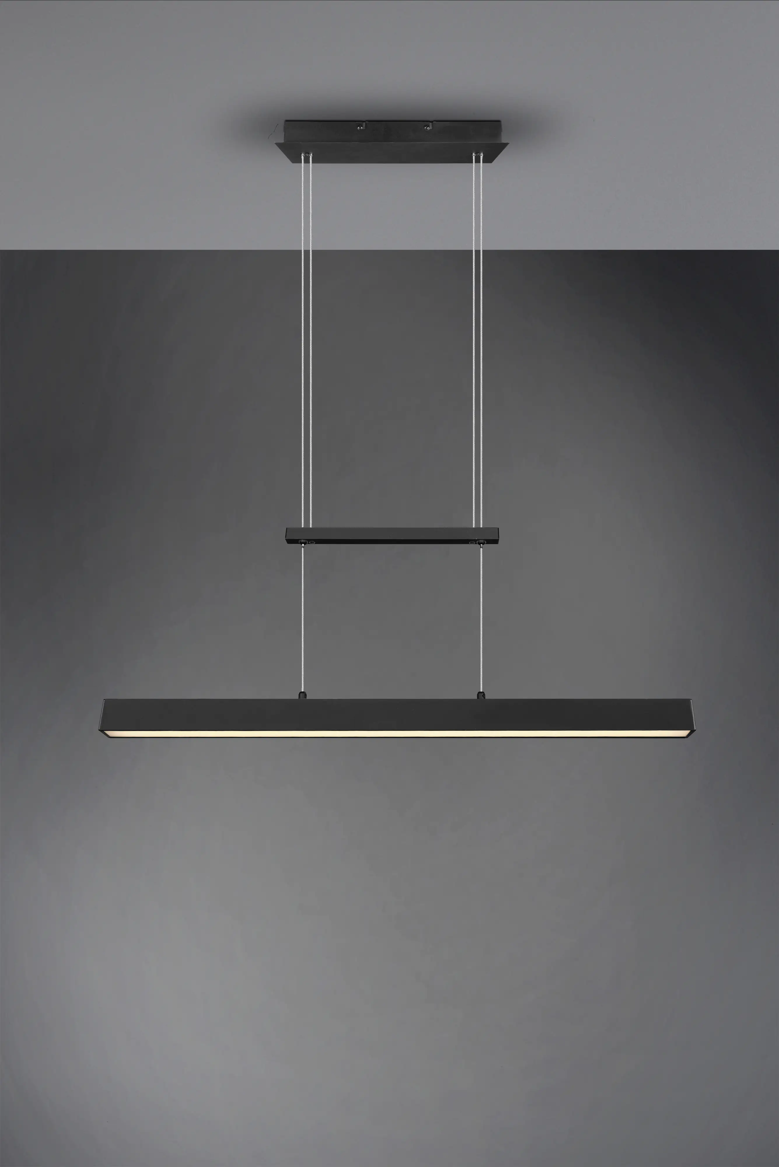 Reality Leuchten LED Pendelleuchte Paros schwarz matt Switch Dimmer