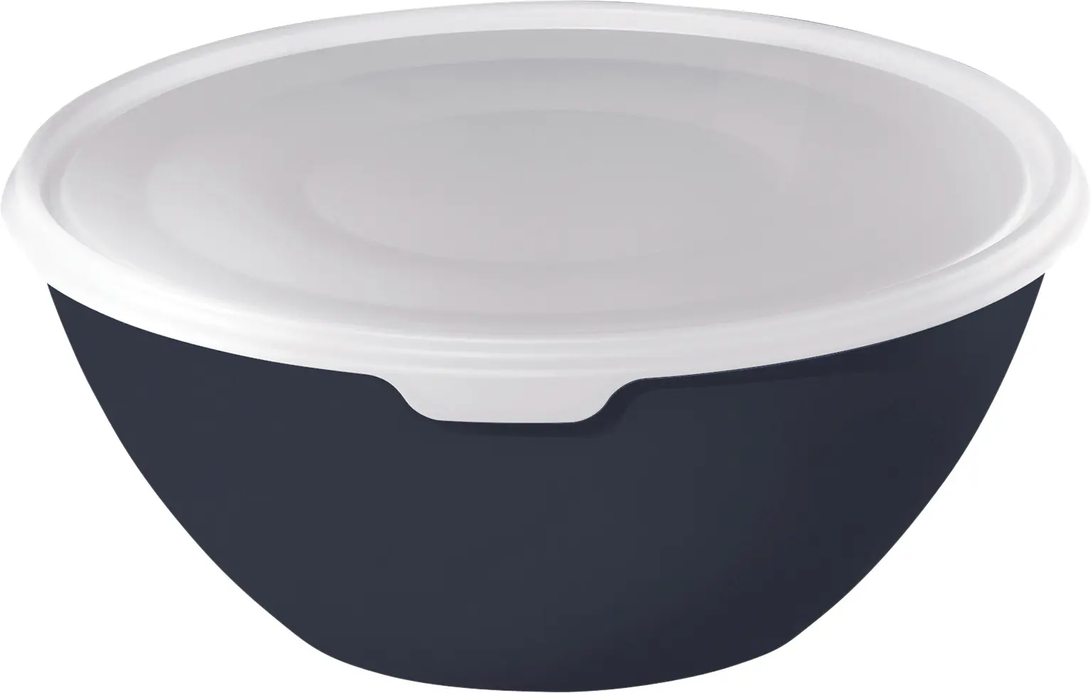 Rotho Schüssel + Deckel Caruba, 8 l midnight blau