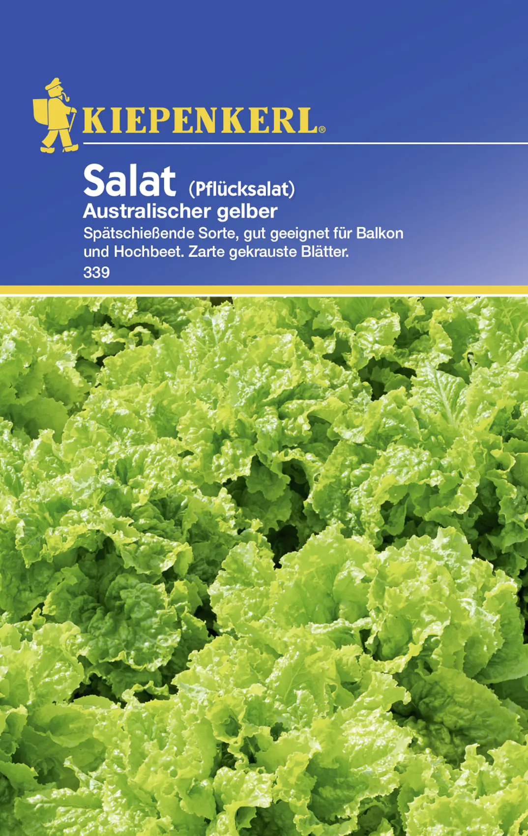 Kiepenkerl Pflücksalat Australischer gelber Lactuca sativa, Inhalt: ca. 5 lfd. Meter