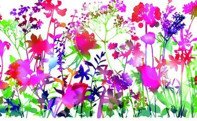 d-c-fix Folie Static Premium Miraflore statisch haftend 45 cm x 1,5 m