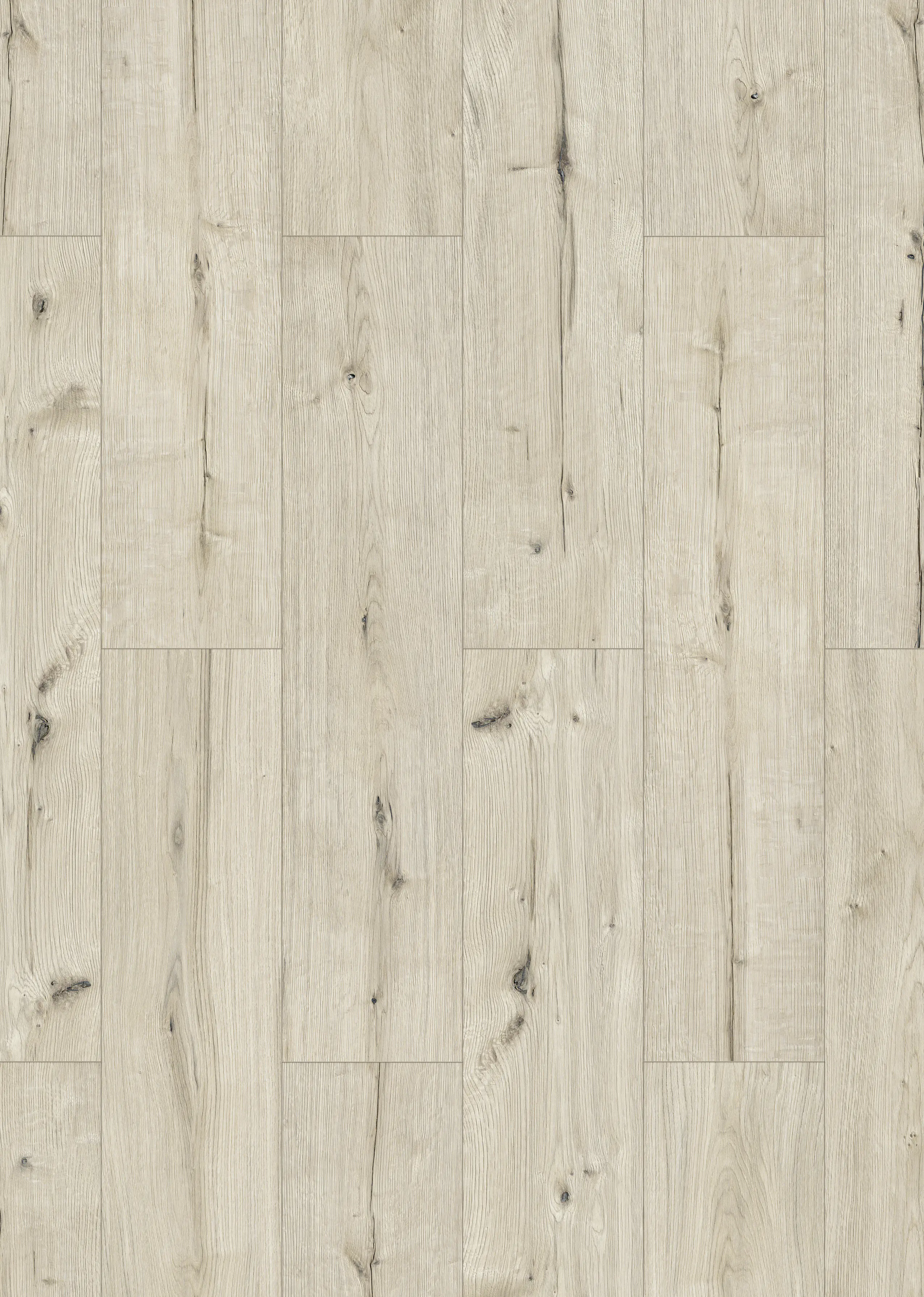 Classen Laminat Megaloc Aquaprotect XL Eiche greige hell LHD