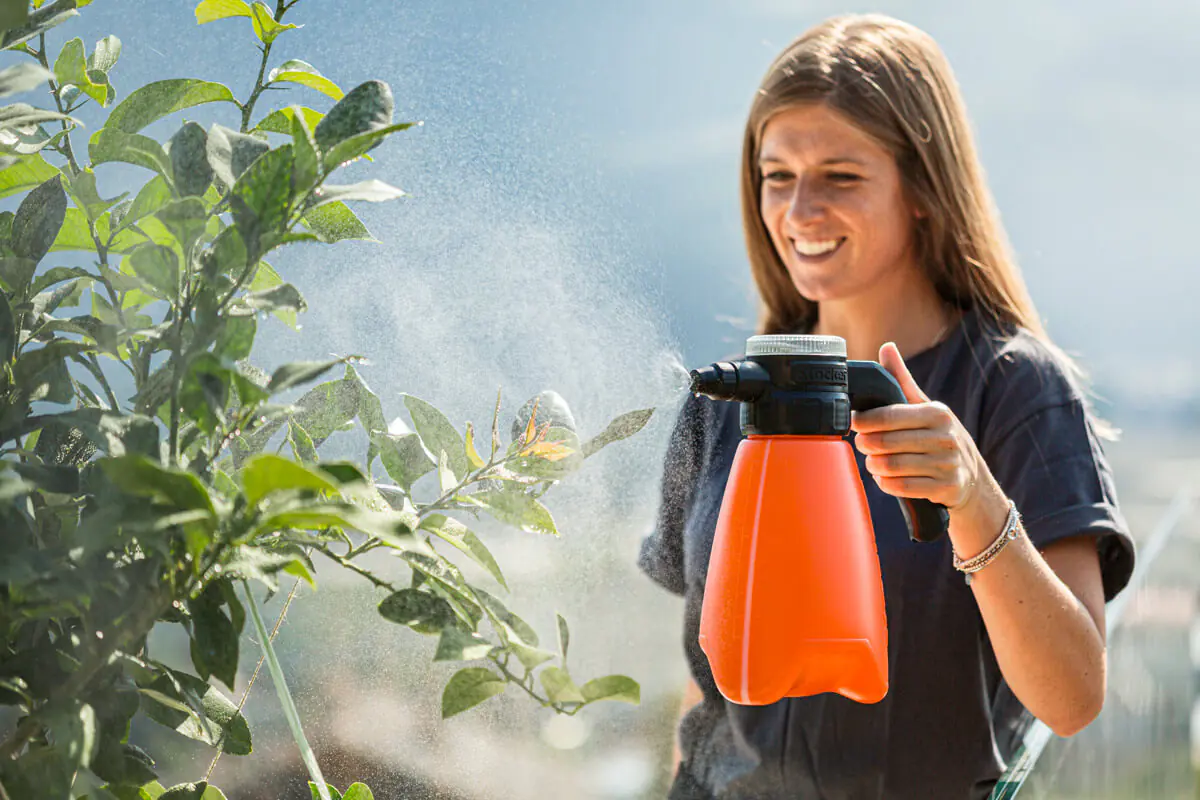 Stocker Geyser Elektro-Sprühgerät Thalia, 2 L, Li-Ion, 2 bar