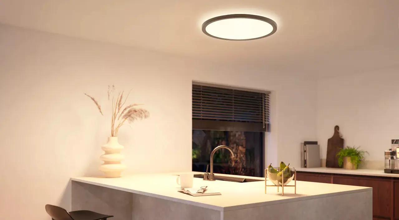 Philips Hue LED Deckenleuchte Tento + Bridge rund schwarz 55 x 55 cm RGB  Philips Hue LED Deckenleuchte Tento + Bridge rund schwarz 55 x 55 cm RGB