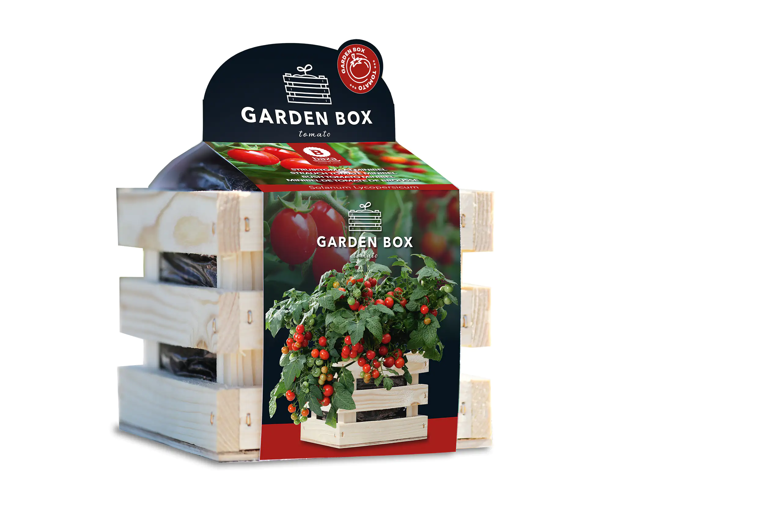 Baza Seeds Garden Box Strauchtomate Minibel