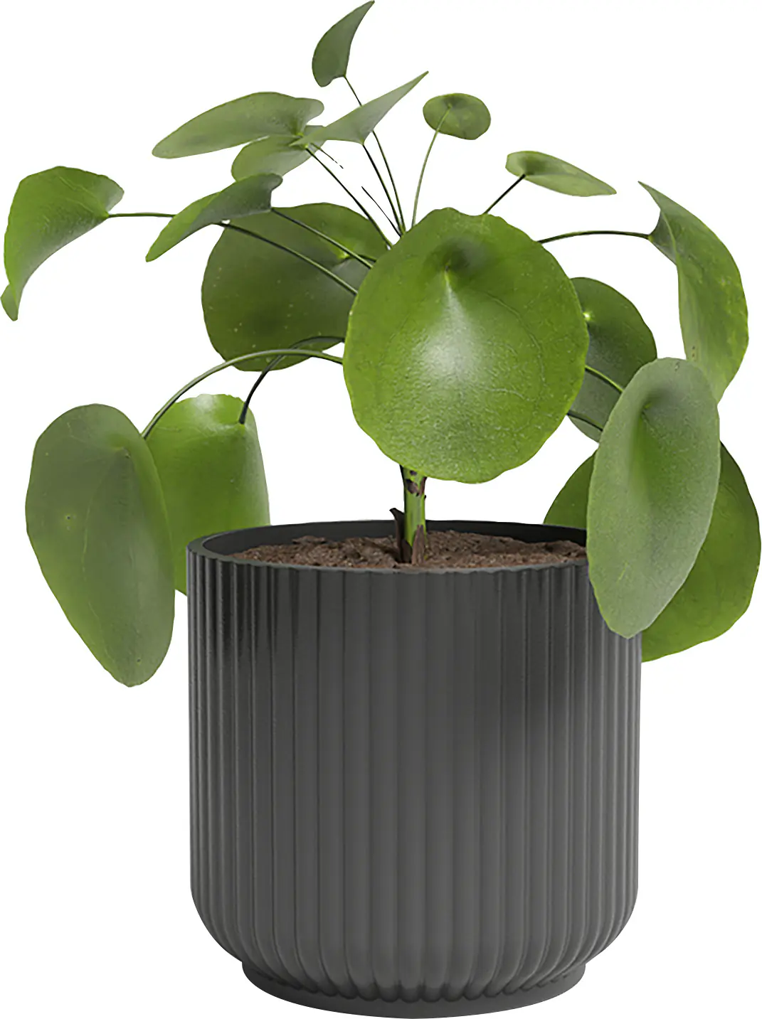 Artevasi Übertopf Luna Keramik anthrazit matt Ø 14 x 13 cm 