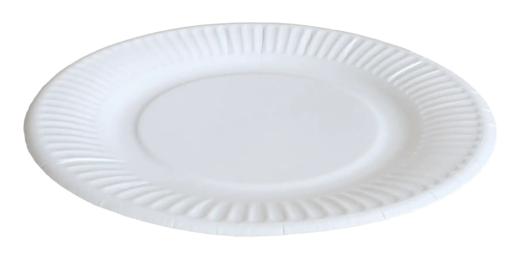 Braun & Company Pappteller Ø 19 cm By Nature 20 Stück