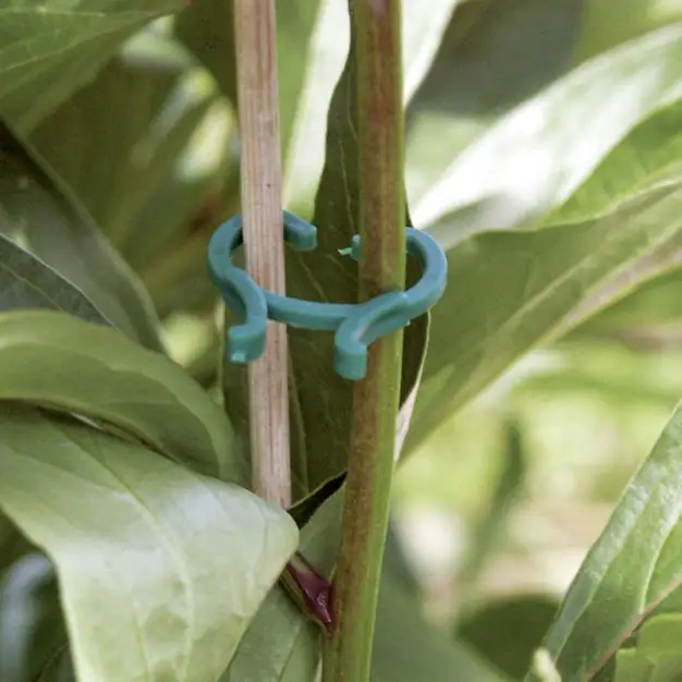 Pflanzenbindeclips