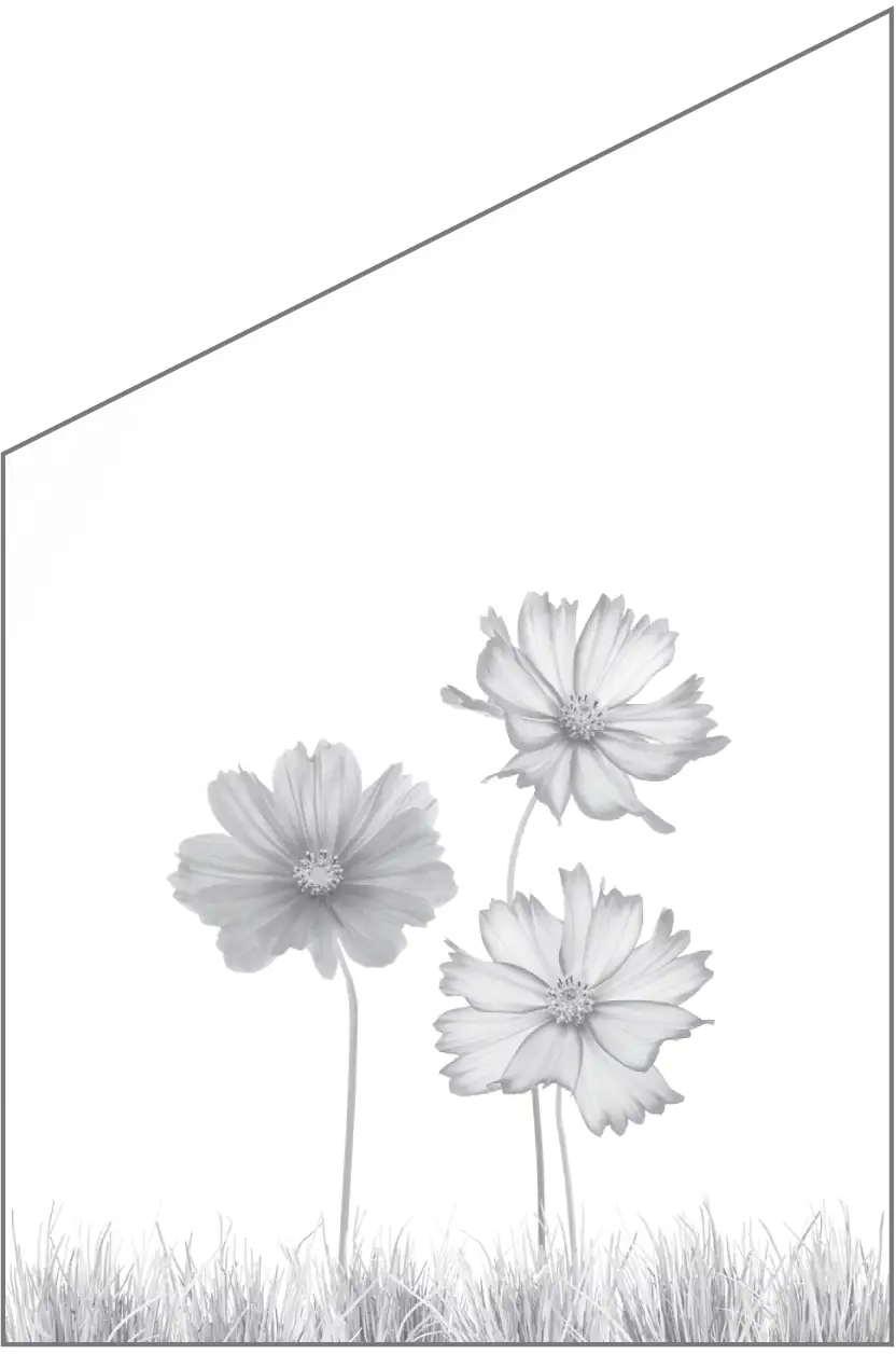 Ambiente Glaszaun Dekor 93 schräg 120 x 120/180 cm gehärtetes 8 mm Glas