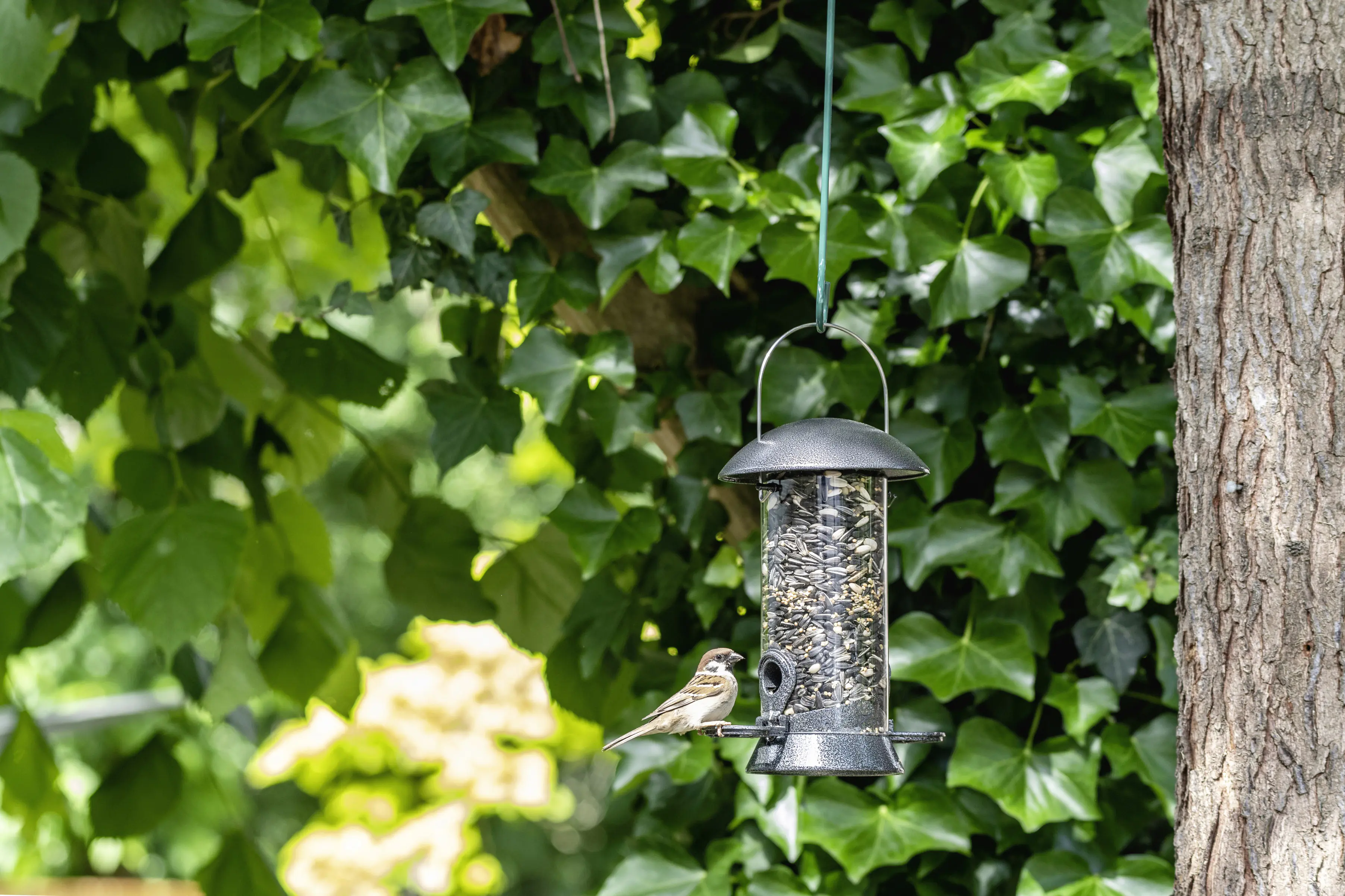 Futtersäule Adventurer klein Ø 14,4 cm, Höhe 27 cm