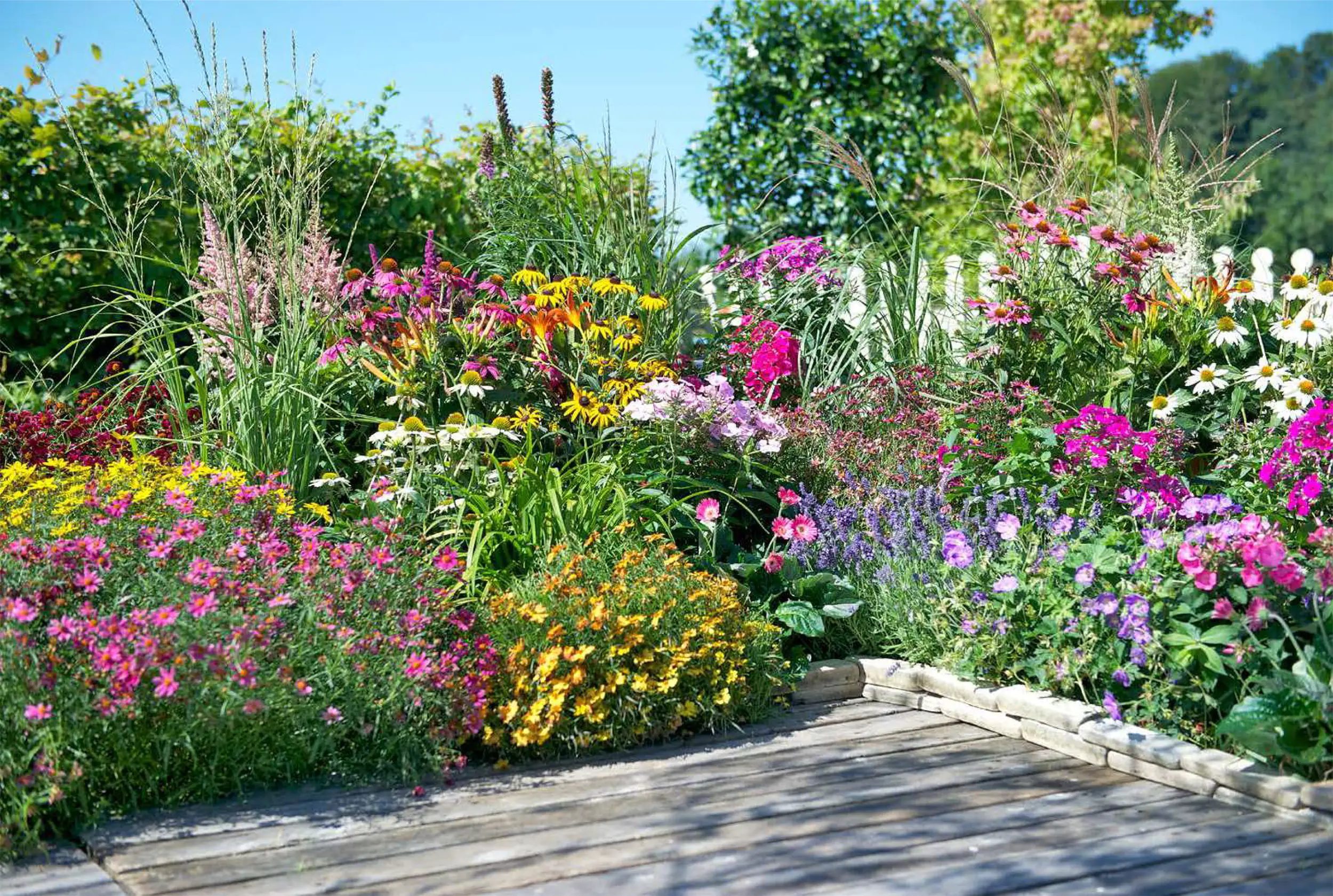 Stauden Gartensortiment Mix 17 cm Topf