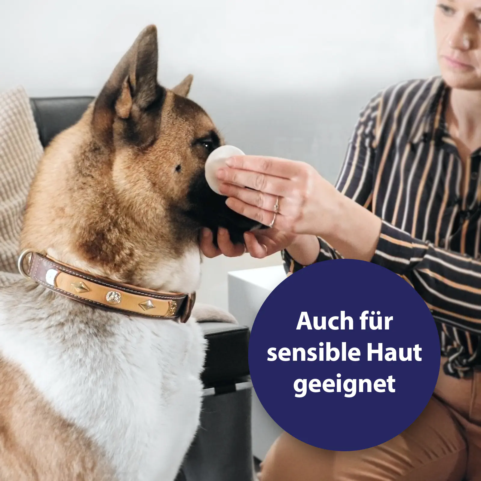 Canosept Augenpflege für Hunde 120 ml