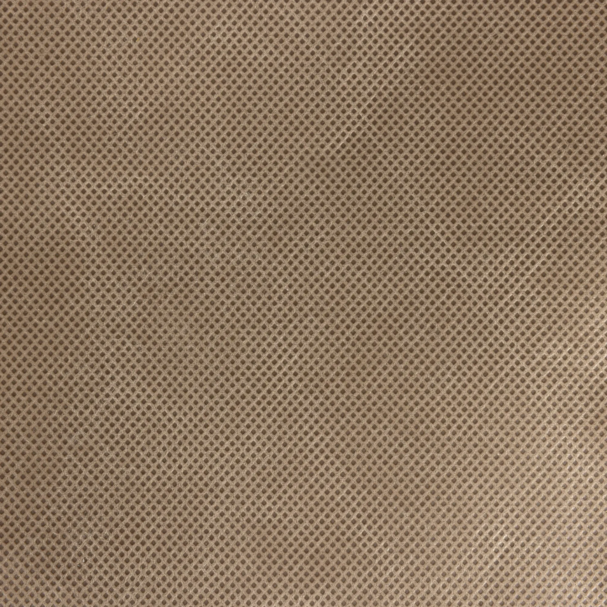 Windhager Winterschutz für Pflanzen Schutzhaube S-pro 300 x 350 cm beige