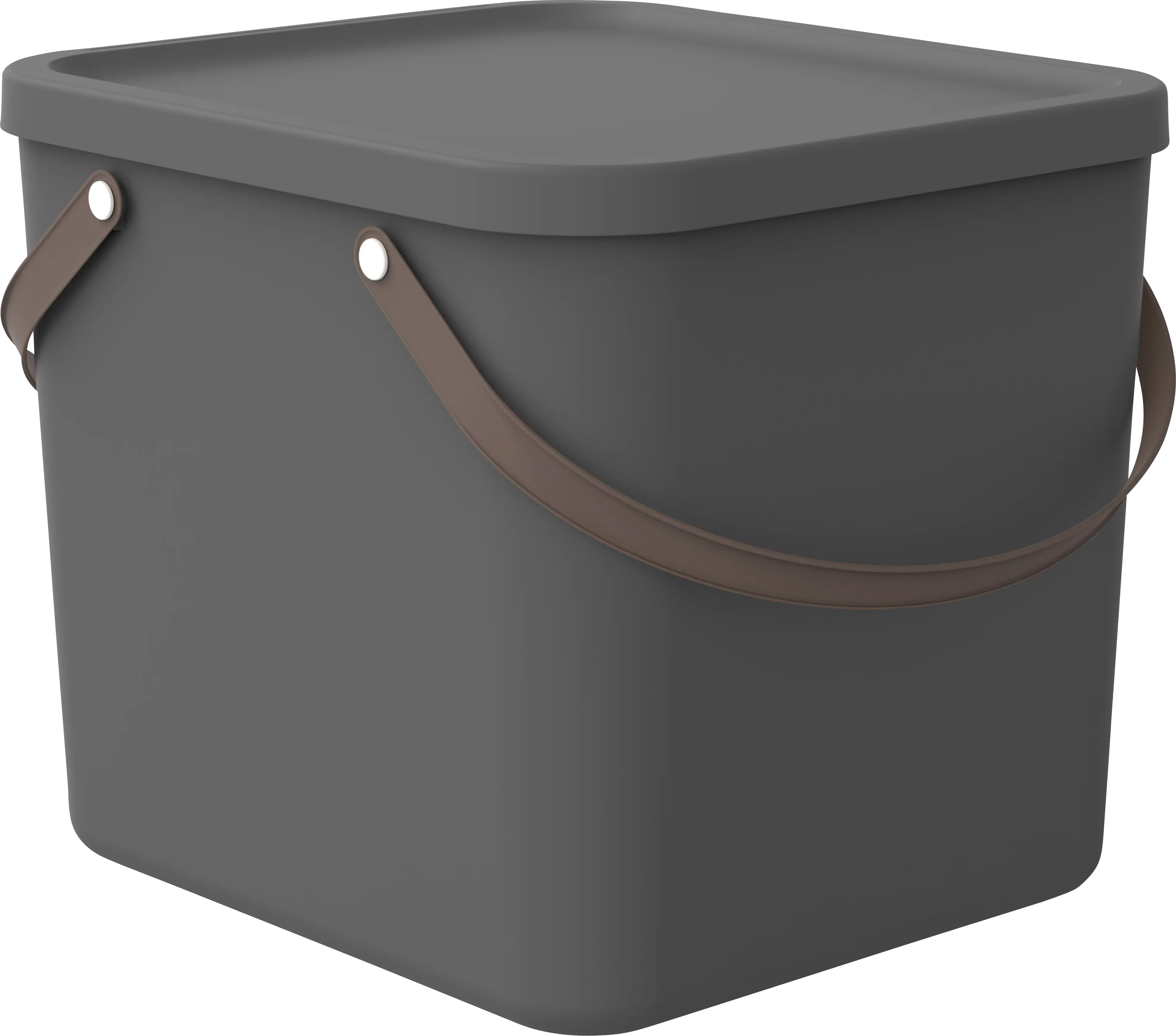 Rotho Aufbewahrungssystem Albula 40 L anthrazit Rotho Aufbewahrungssystem Albula 40 L anthrazit