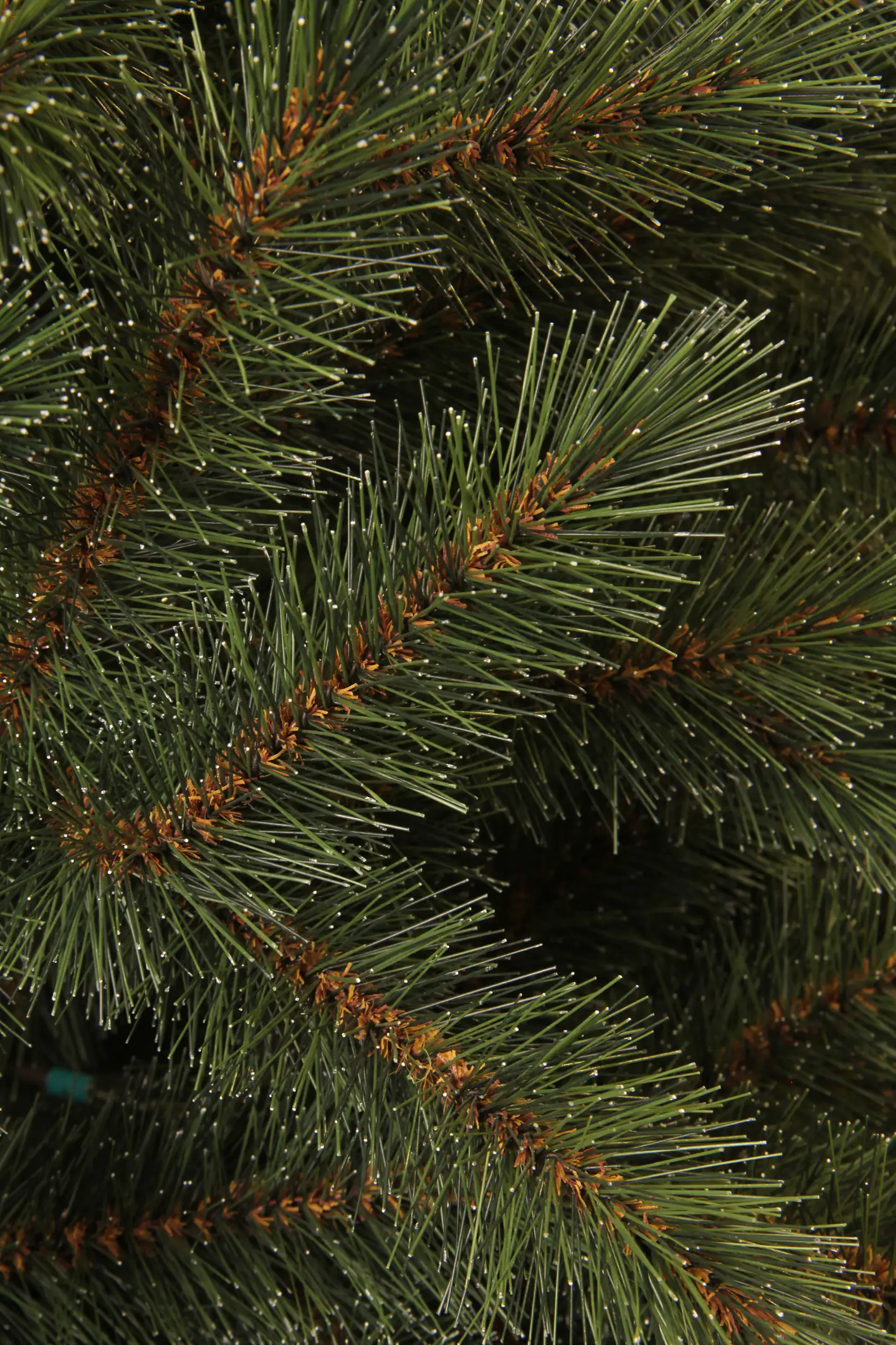 Black Box Trees Weihnachtsbaum Toronto grün 185 cm Black Box Trees Weihnachtsbaum Toronto grün 185 cm