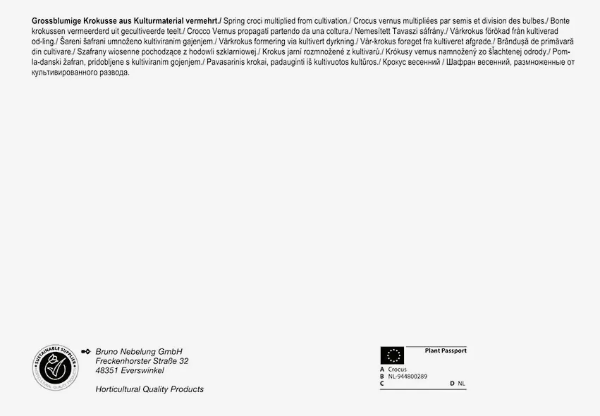Pegasus BigBag Großblumiger Krokus Mischung Crocus vernus