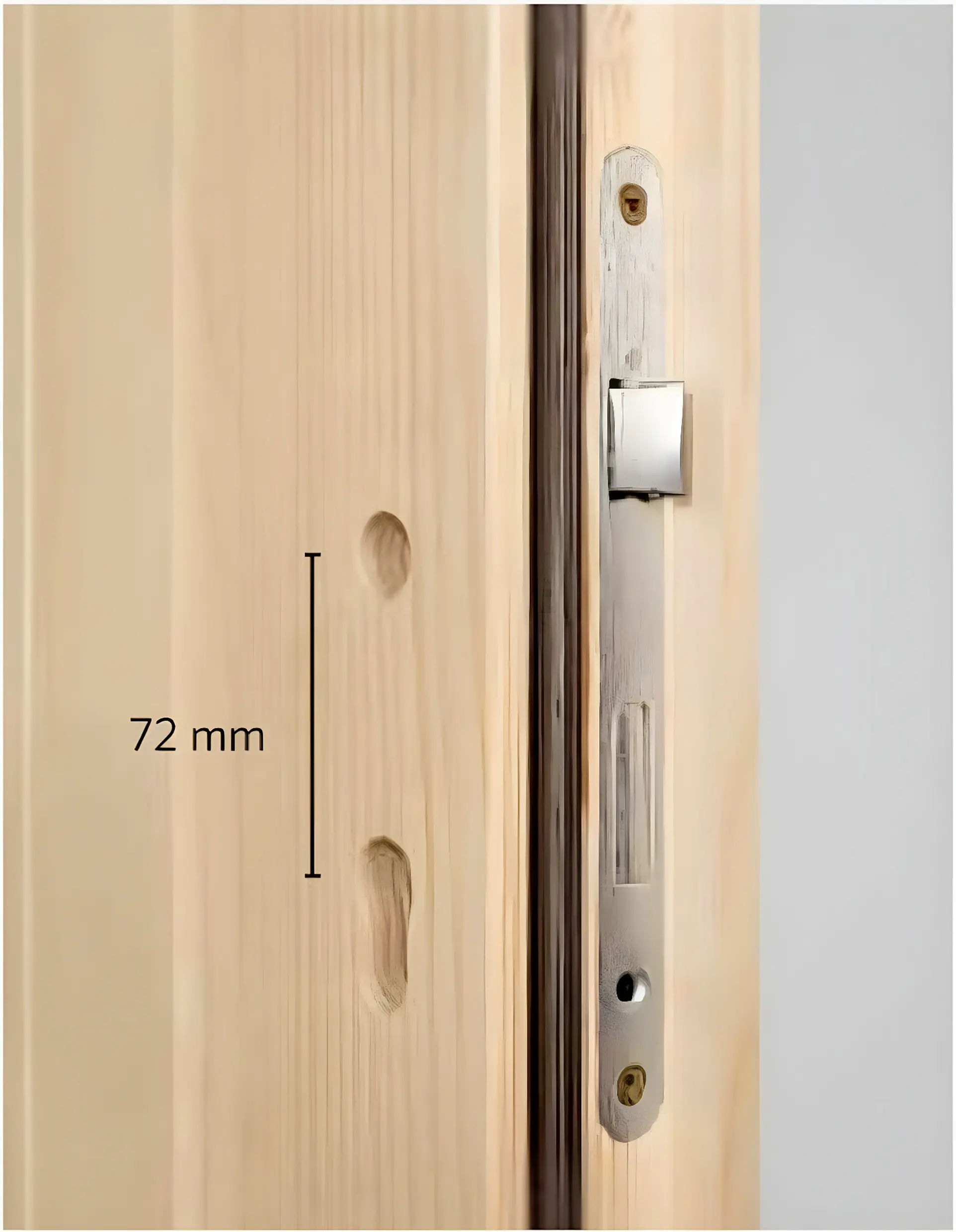 Panto Nebeneingangstür Holz 501 88 x 198 cm DIN links