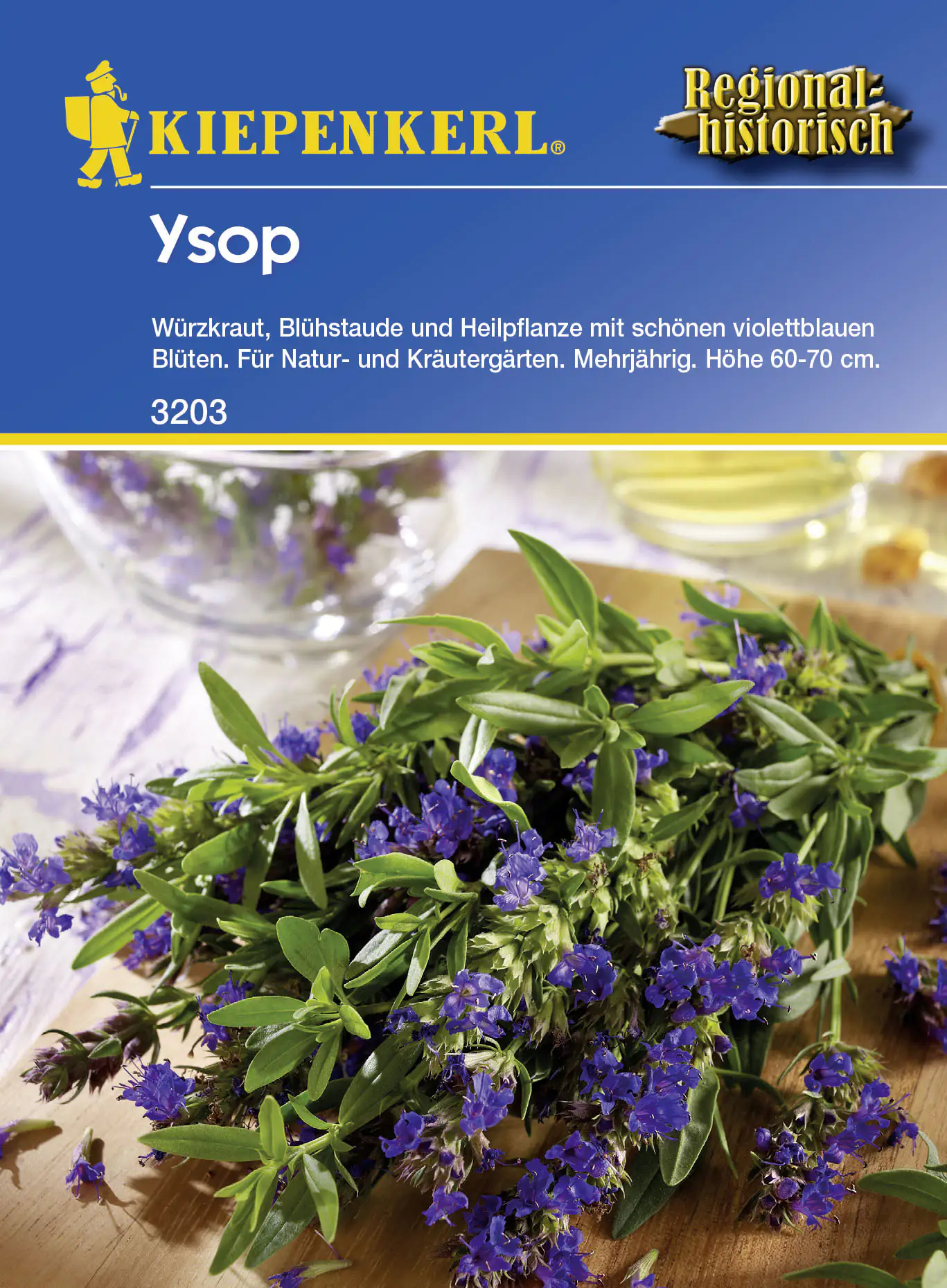 Kiepenkerl Ysop Hyssopus officinalis subsp. officinalis, Inhalt: ca. 80 Pflanzen Kiepenkerl Ysop Hyssopus officinalis subsp. officinalis, Inhalt: ca. 80 Pflanzen