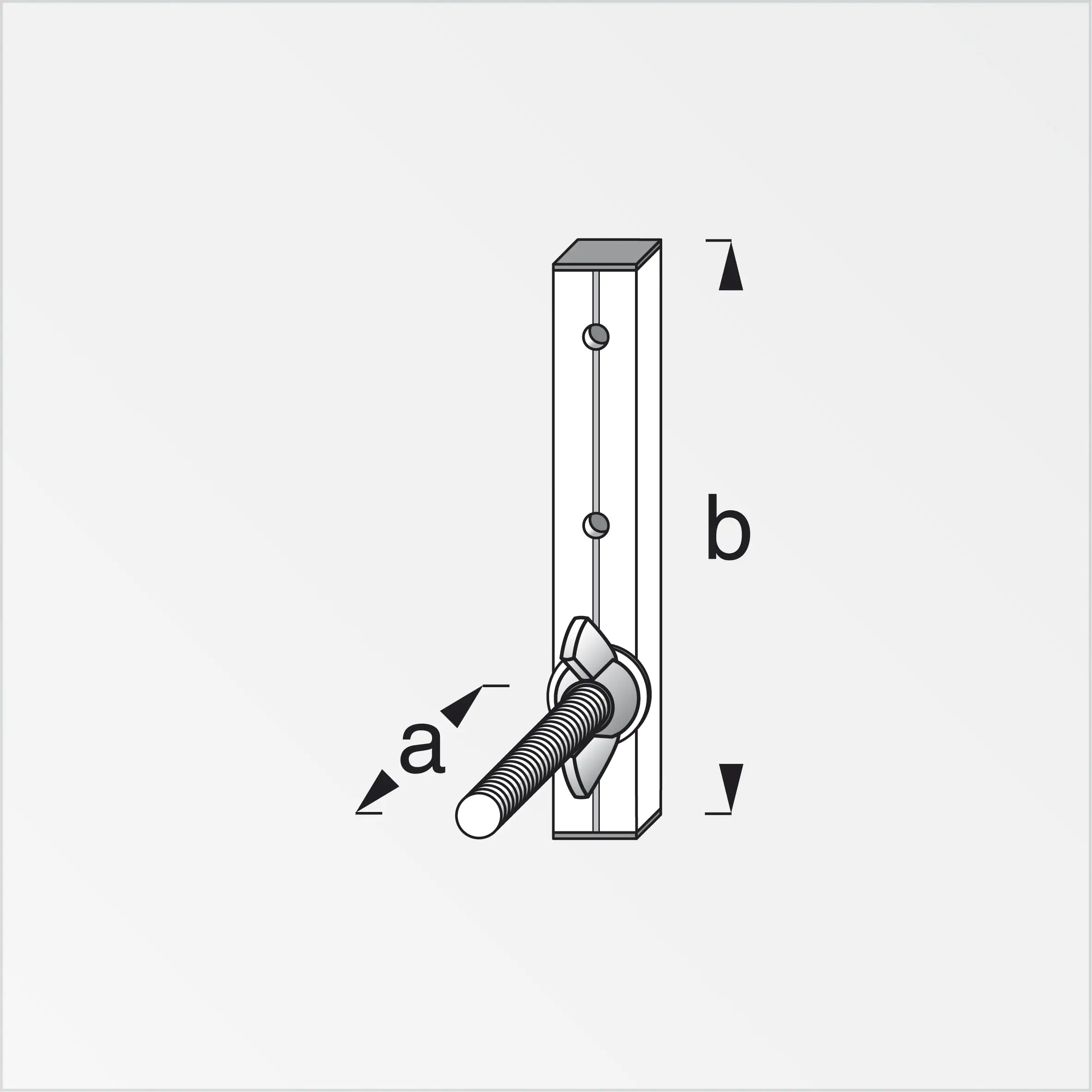 alfer Felgenhalter Dercoaxis 9 x 14 cm Aluminium roh