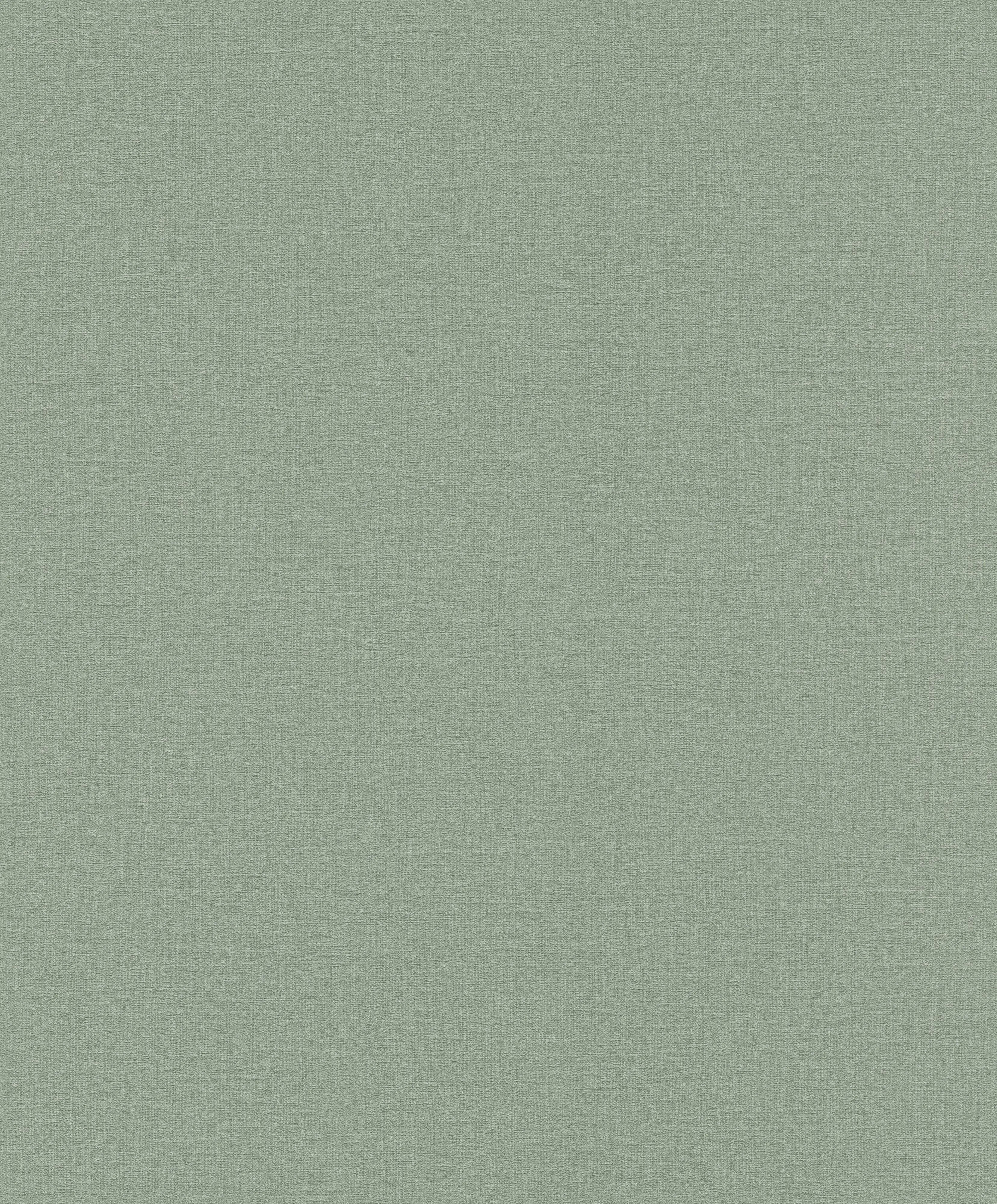 Rasch Vliestapete 555936 Grün-Grüngrau Uni 10,05 m x 0,53 m Rasch Vliestapete 555936 Grün-Grüngrau Uni 10,05 m x 0,53 m