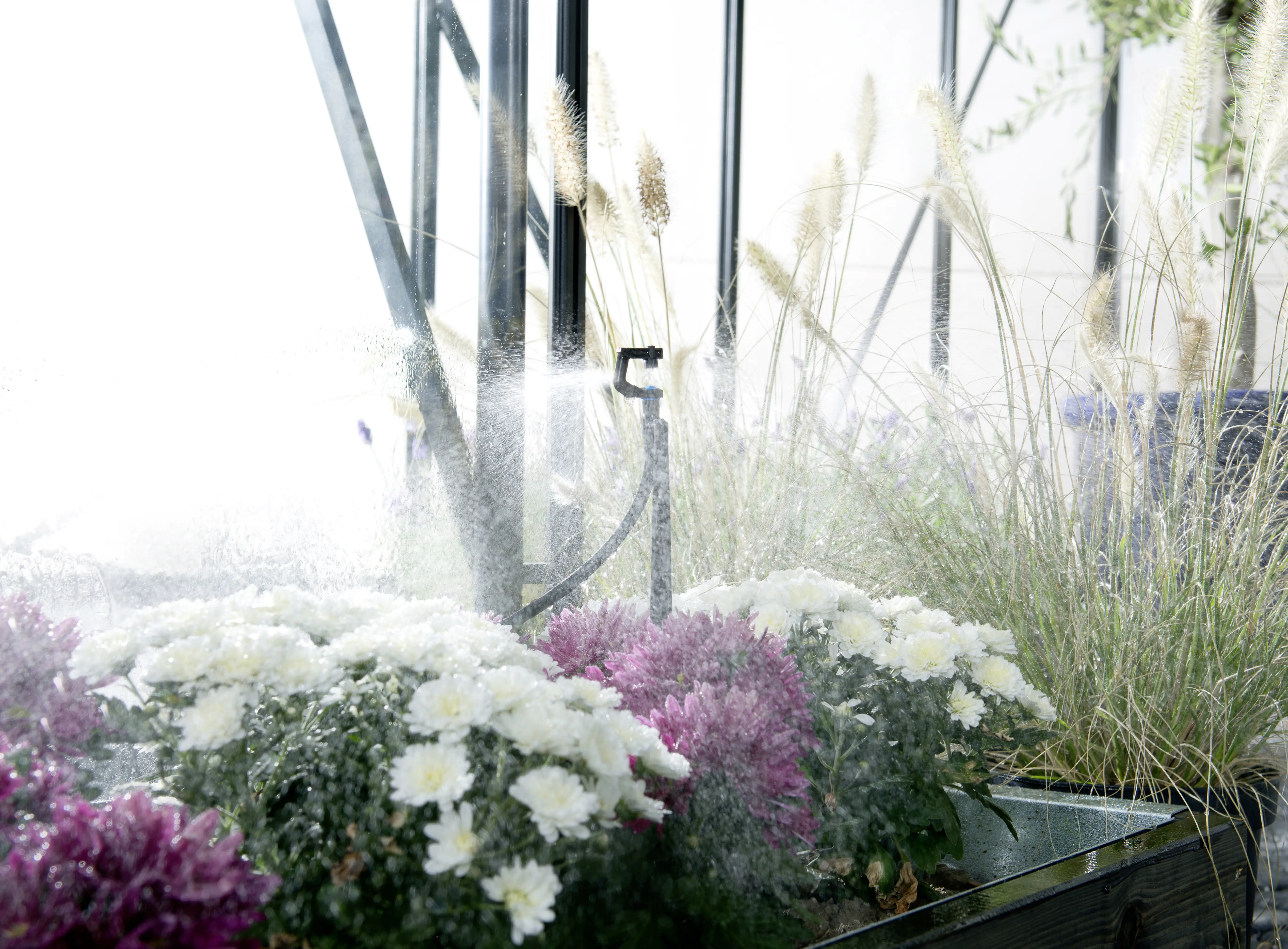 Elgo Bewässerungssystem MGS48