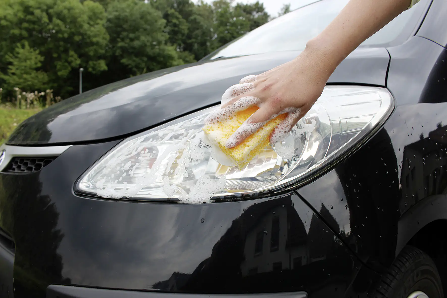 APA Insektenschwamm 10x7x3,5cm