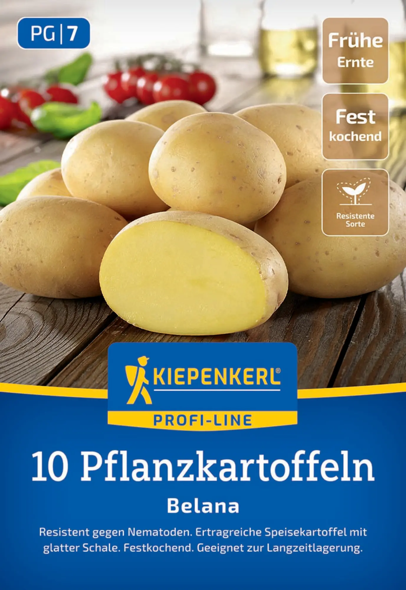 Kiepenkerl Pflanzkartoffel Belana 10 Stück