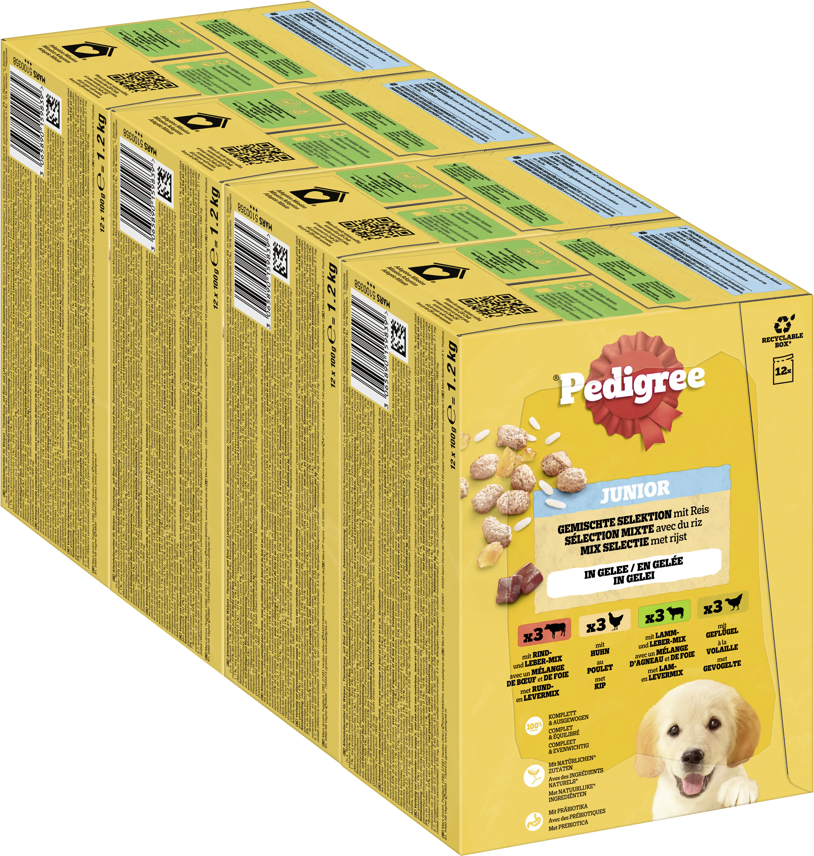 Pedigree Hundenassfutter Junior 12 x 100 g gemischte Selektion in Gelee