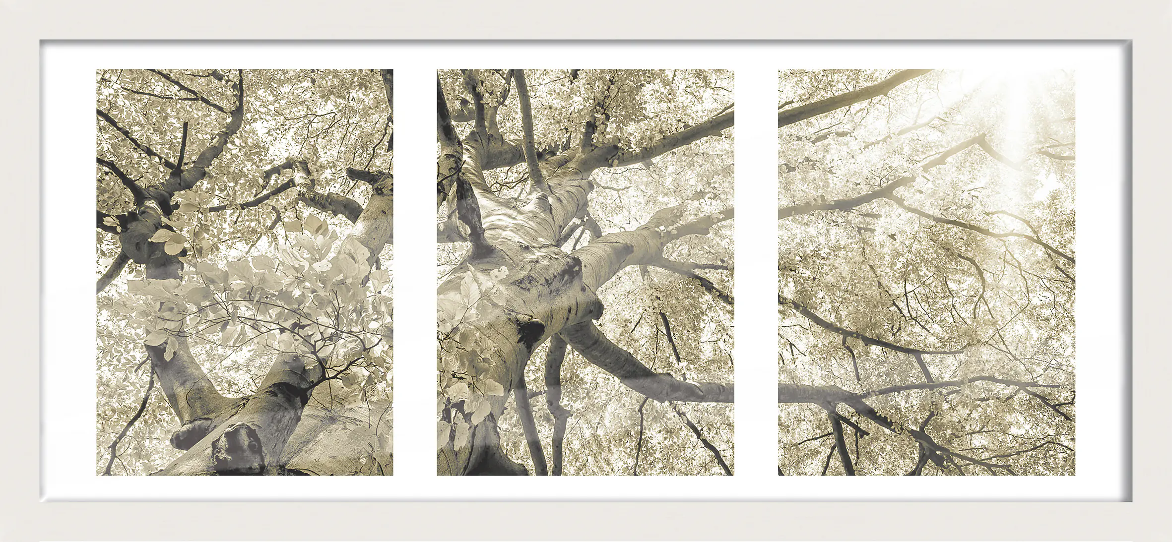 Bilderrahmen Holz Luzern weiß 23 x 50 cm