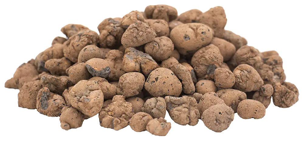 4006398405003_3 Floragard Tongranulat