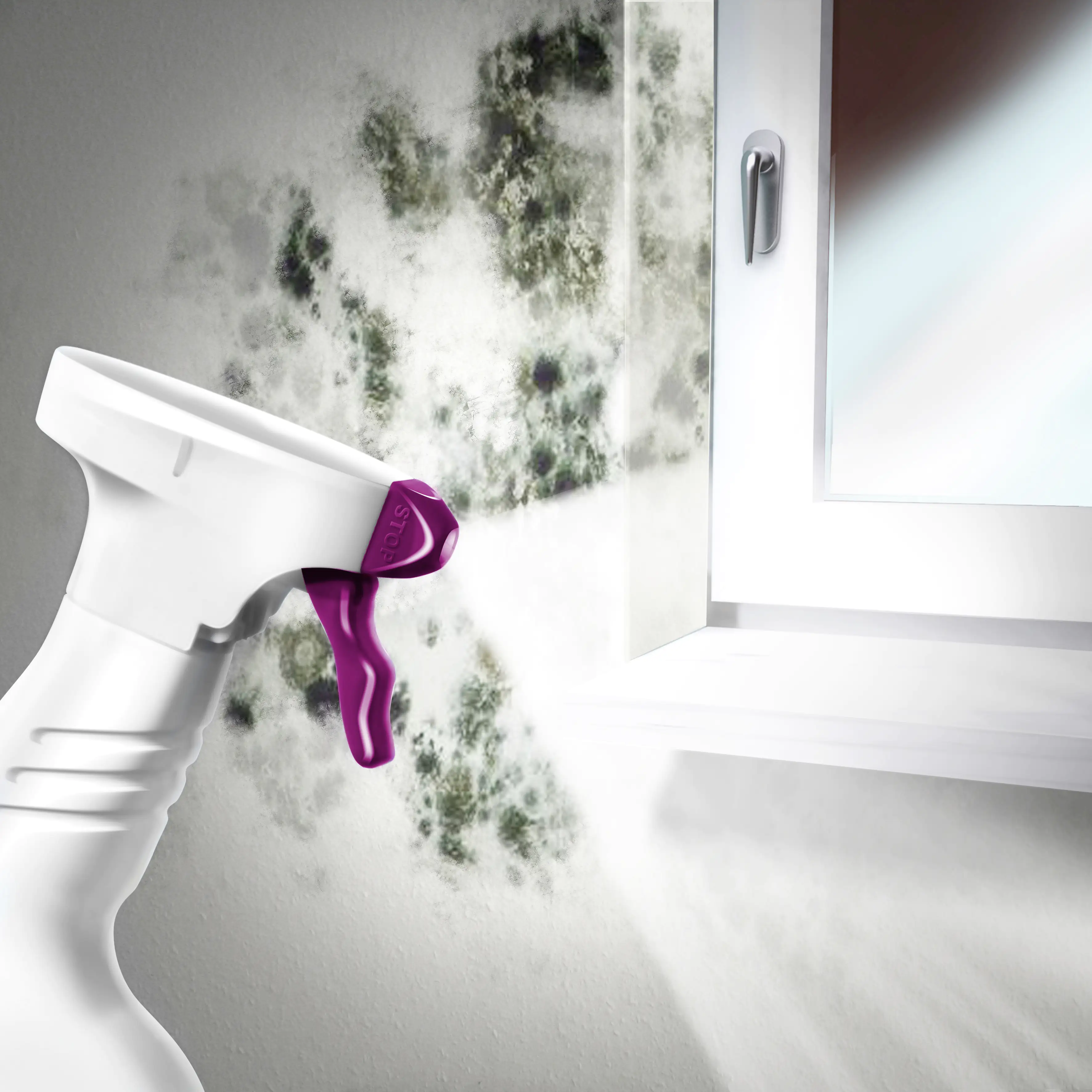 MEM Schimmel-Entferner 500 ml