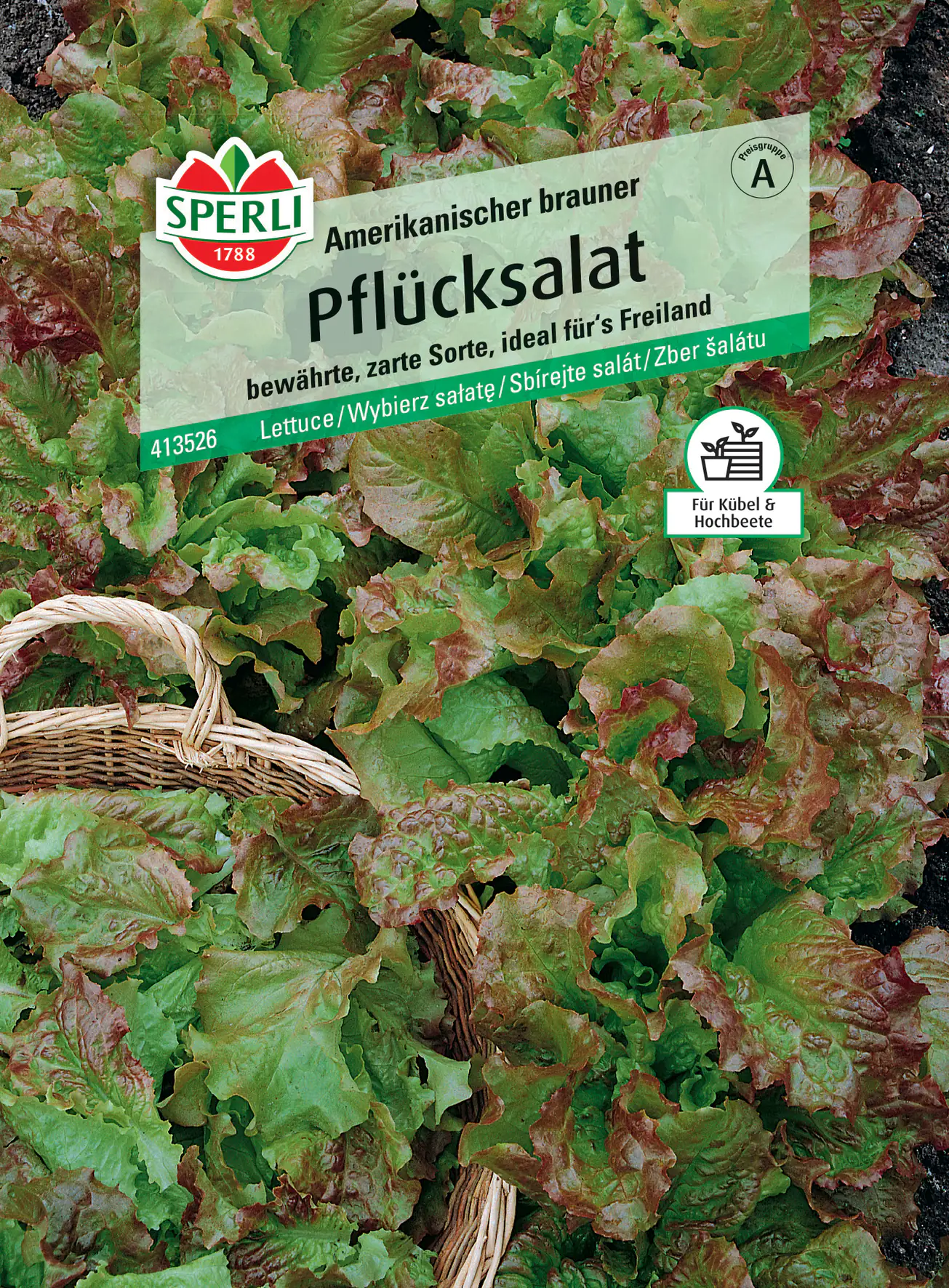 Sperli Pflücksalat Amerikanischer brauner