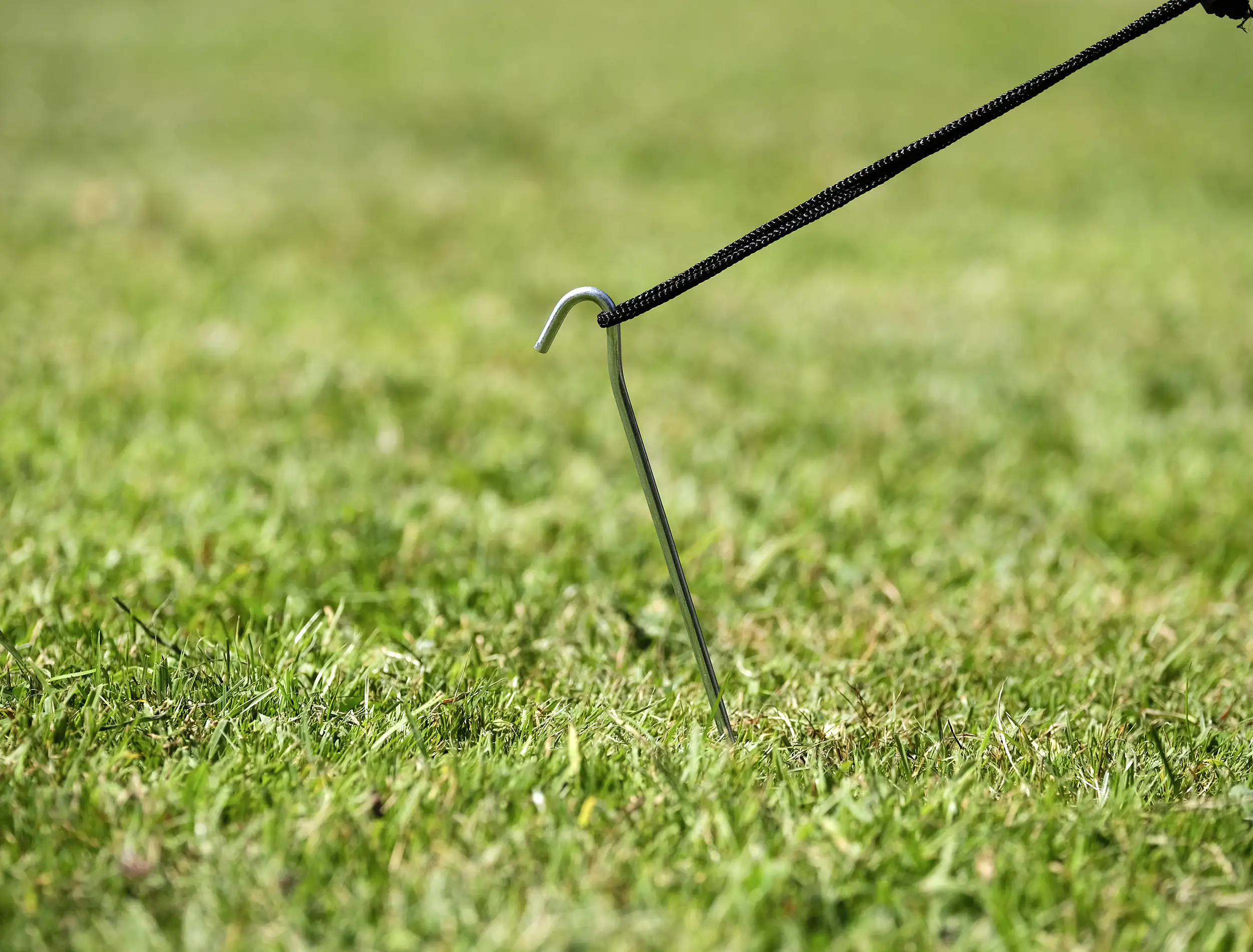 Calima Zelthering für normal Böden 10 Stück