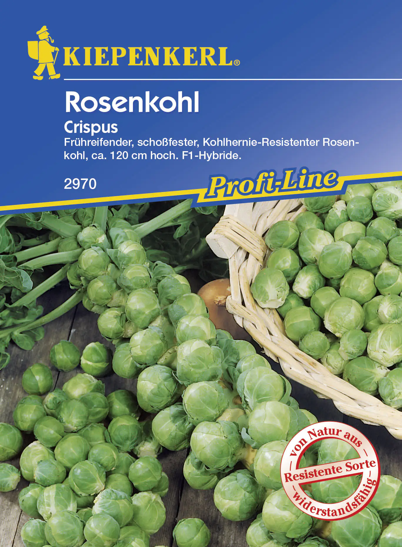 Kiepenkerl Rosenkohl Crispus Brassica oleracea, Inhalt ca. 10 Pflanzen