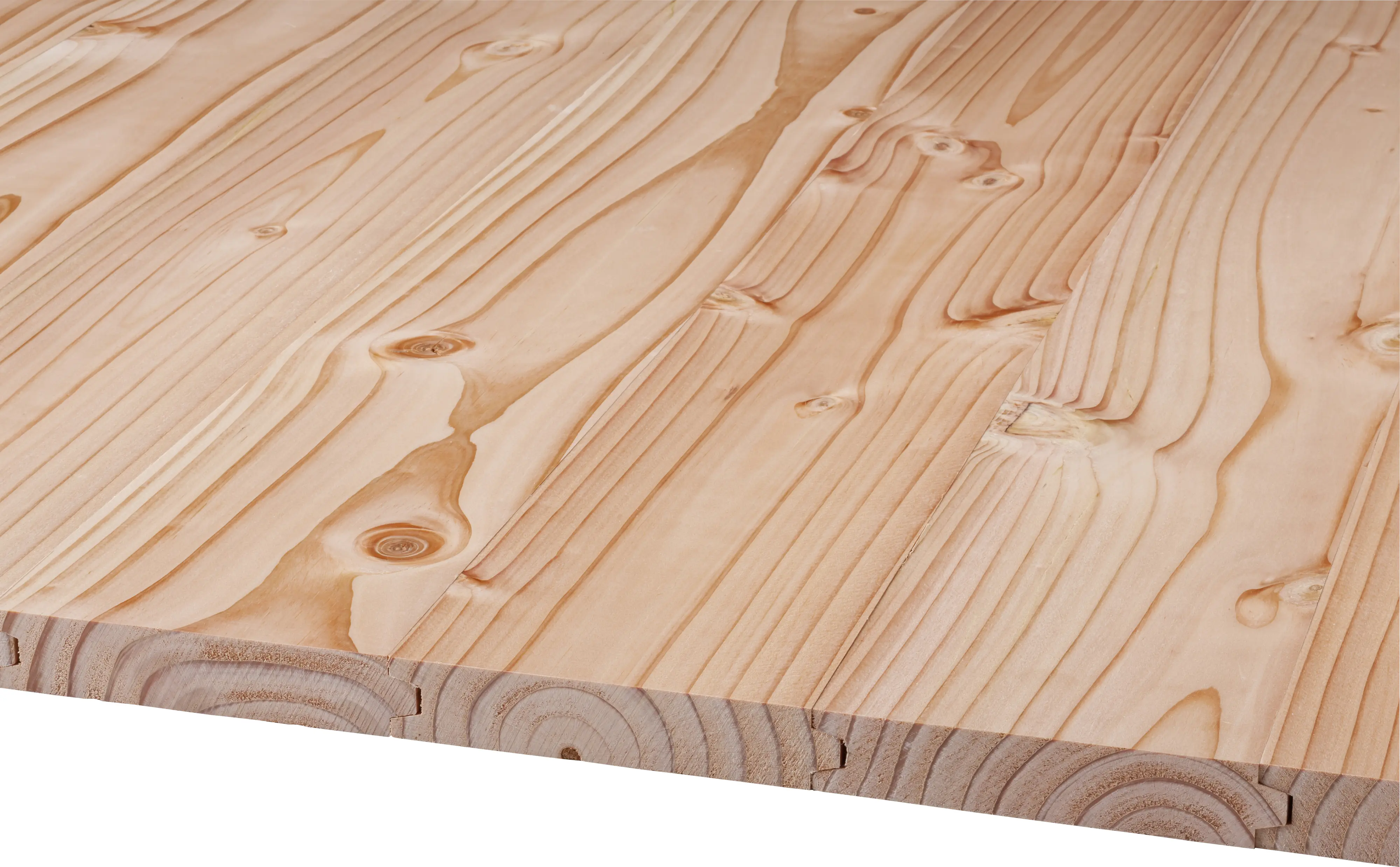 Hobeldiele Rauspund Douglasie 250 x 9,6 cm 19 mm gehobelt