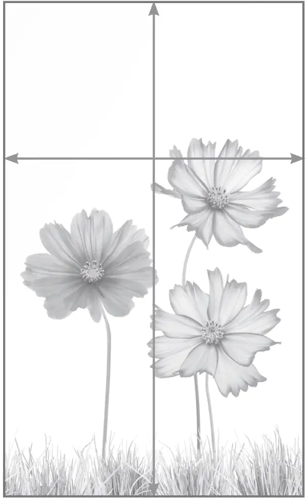Glas-Sichtschutzelement Maßgefertigt, ESG 8 mm stark